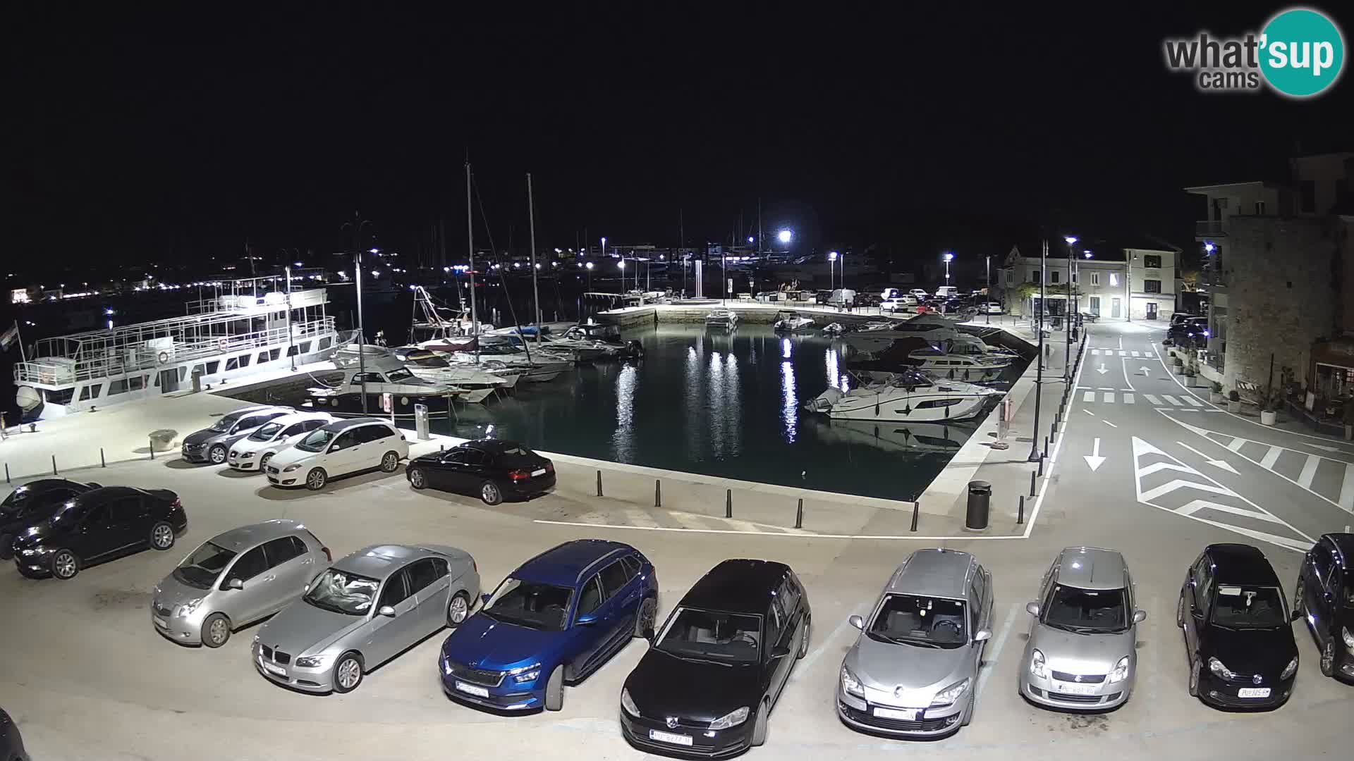 Novigrad | Porporela marina