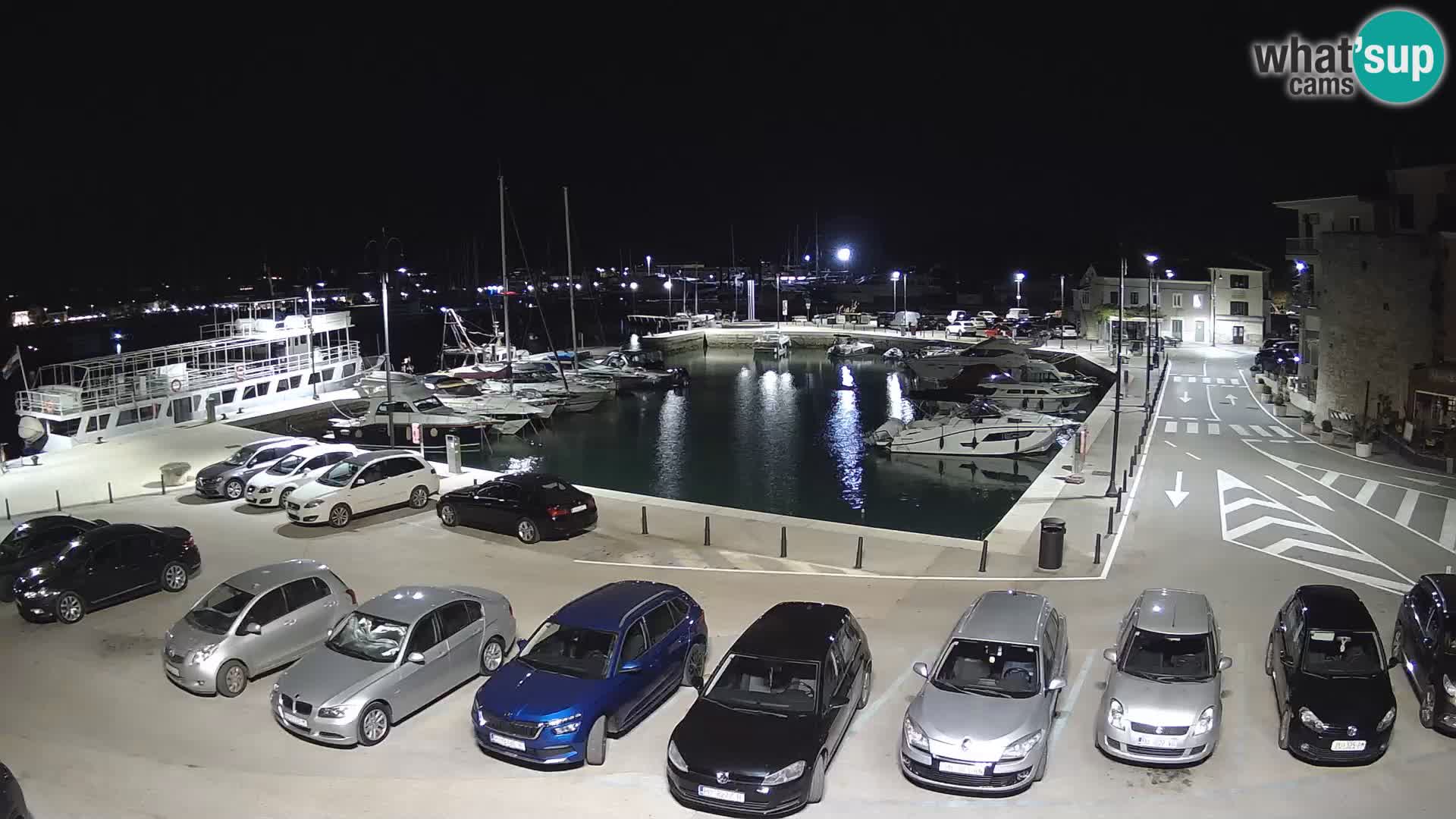 Novigrad | Porporela marina