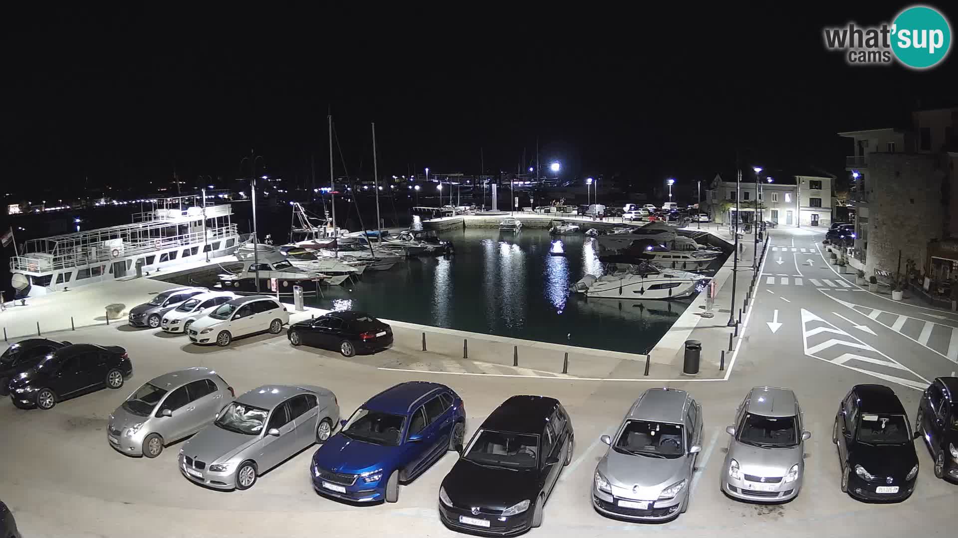 Novigrad | Porporela marina