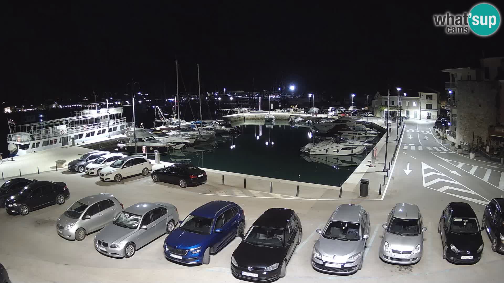 Novigrad | Porporela marina