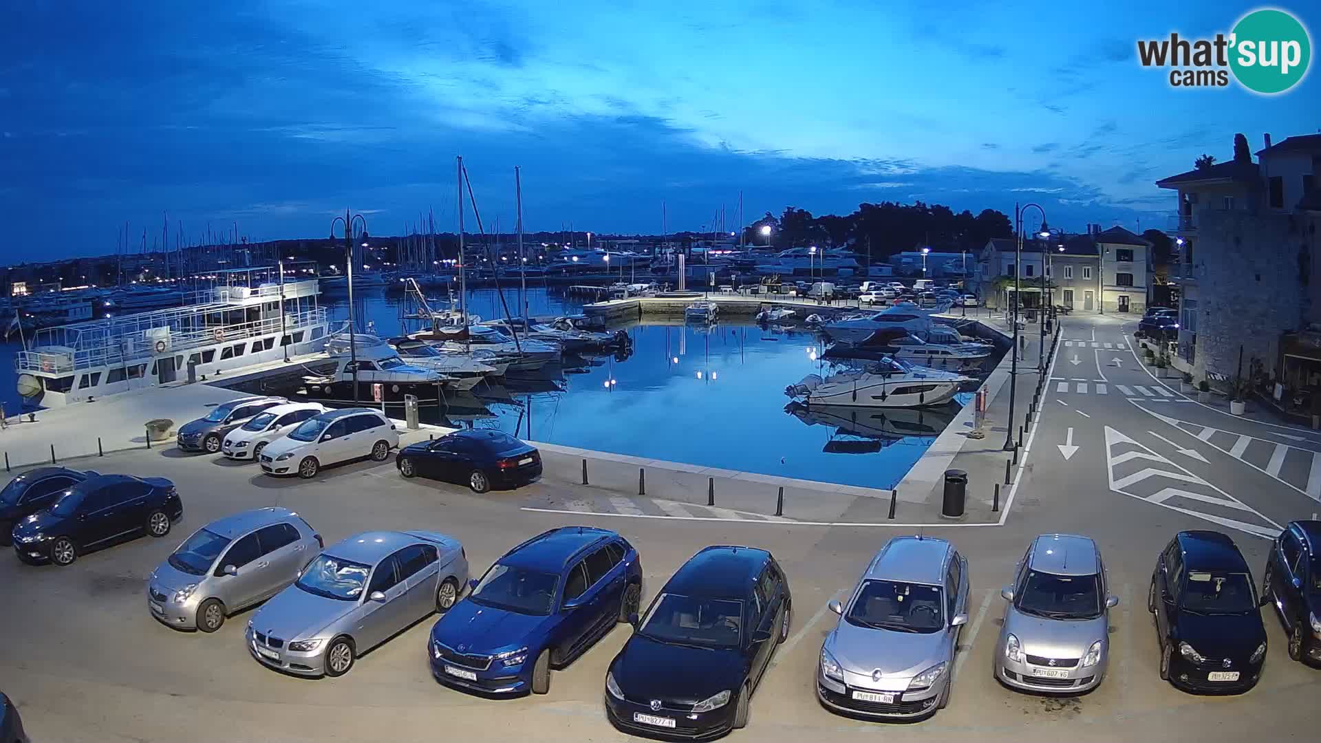 Novigrad | Porporela marina