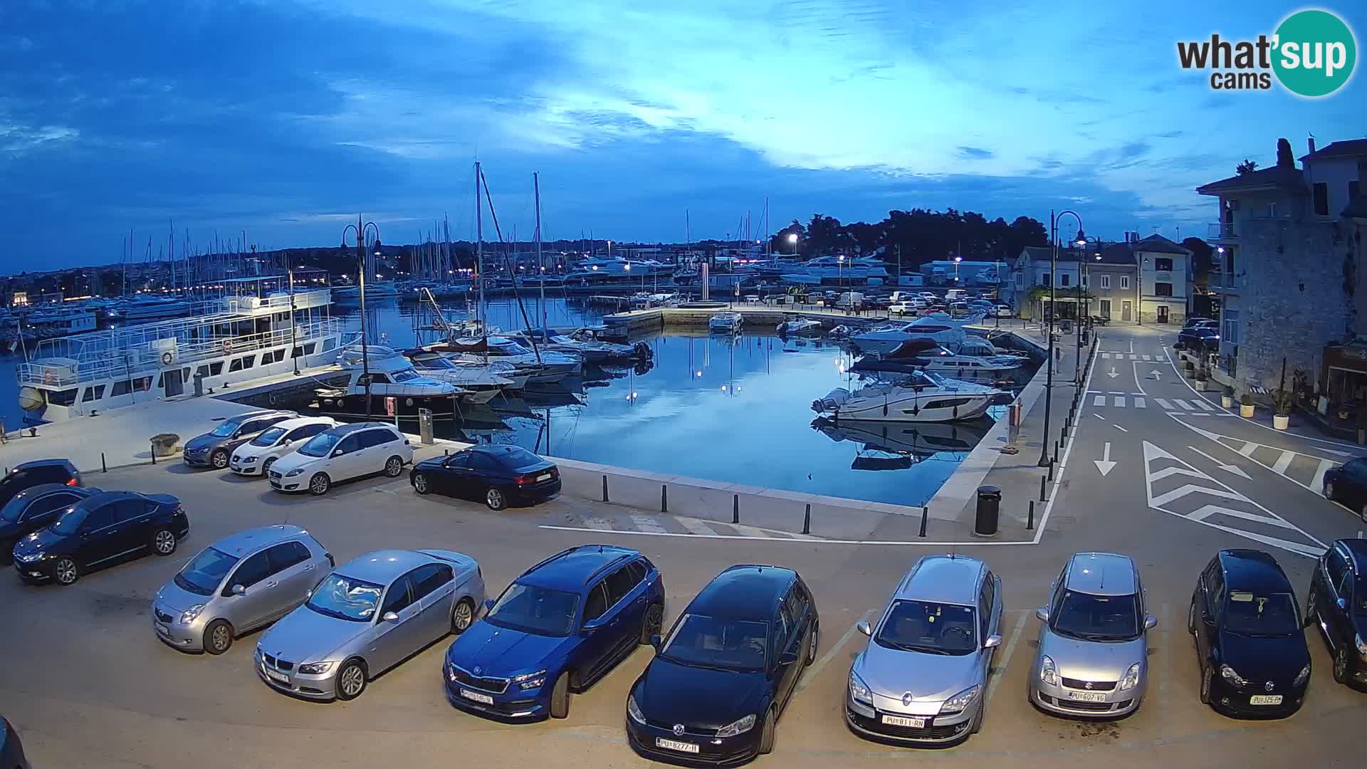 Novigrad | Porporela marina