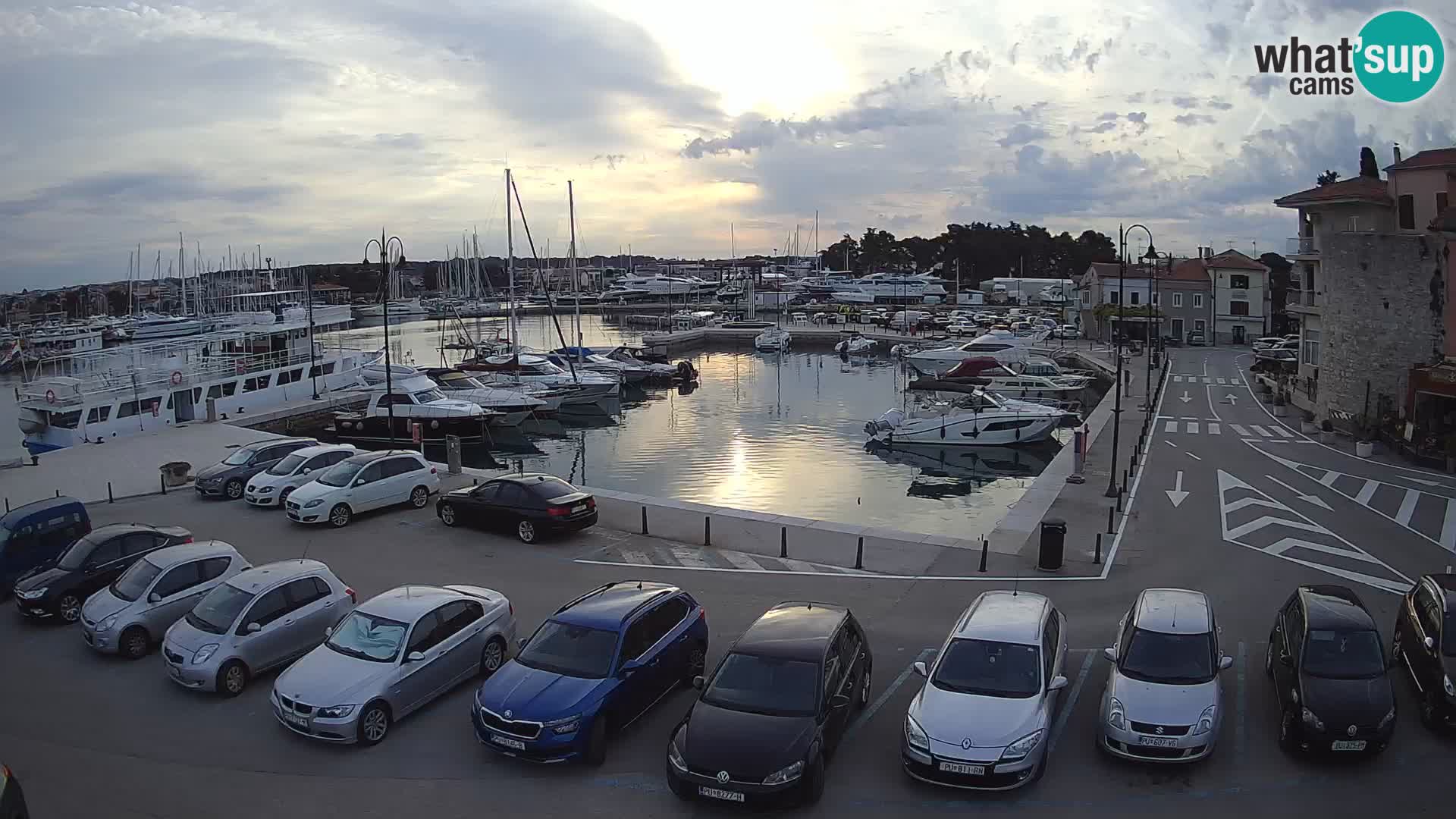 Novigrad | Porporela marina