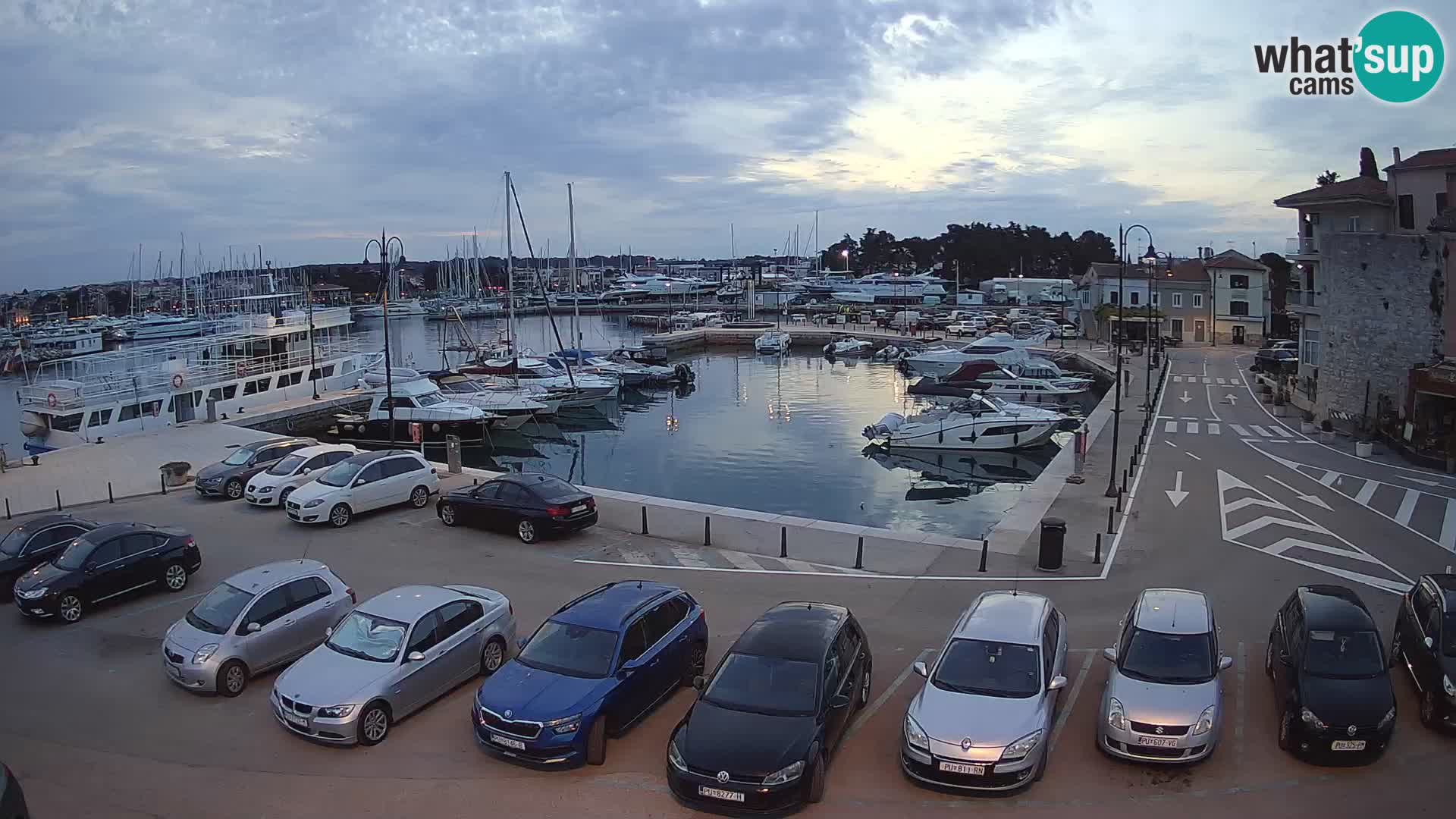 Novigrad | Porporela marina