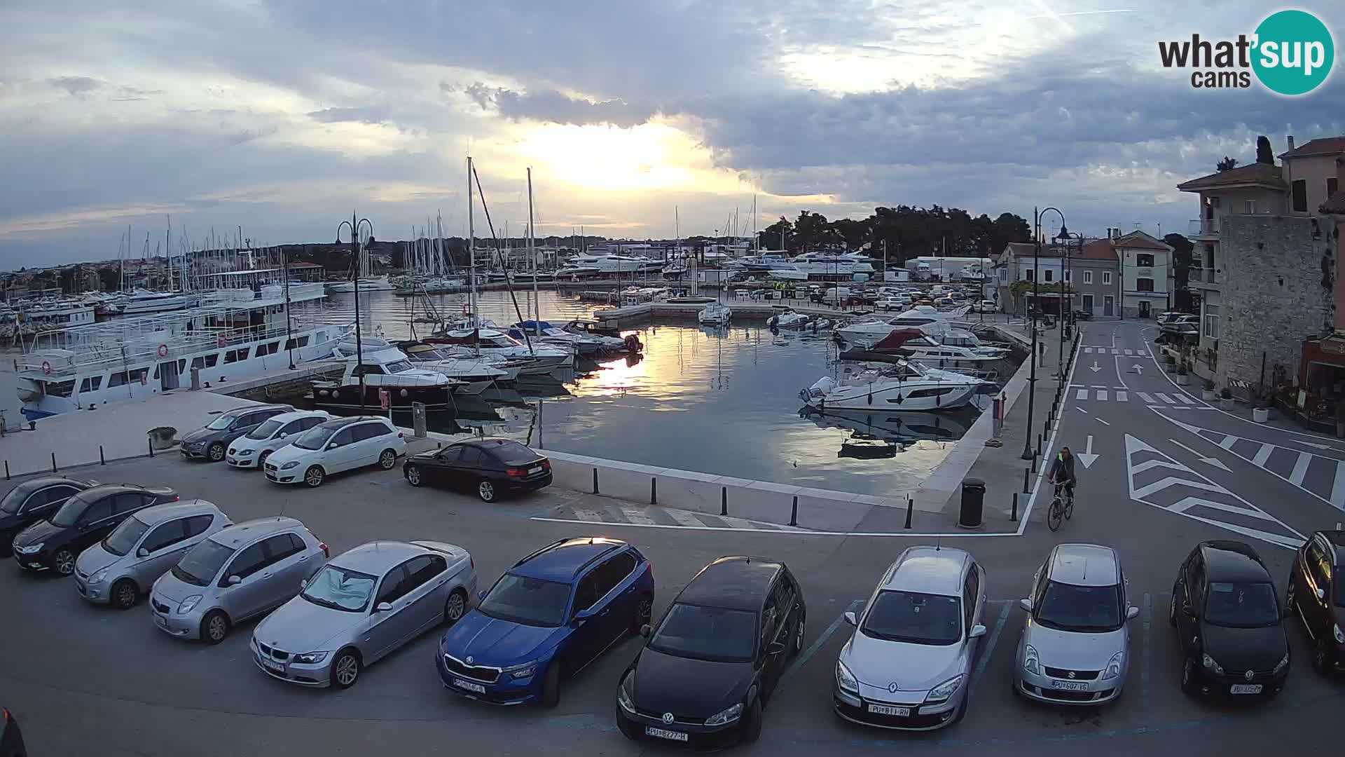Novigrad | Porporela marina