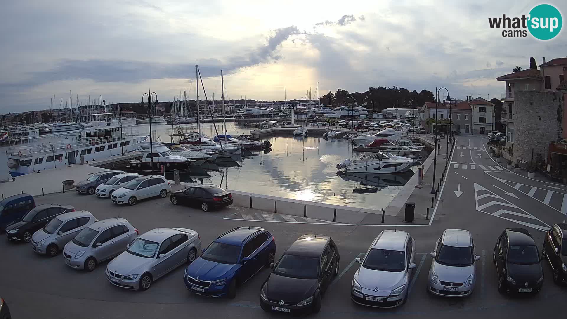 Novigrad | Porporela marina