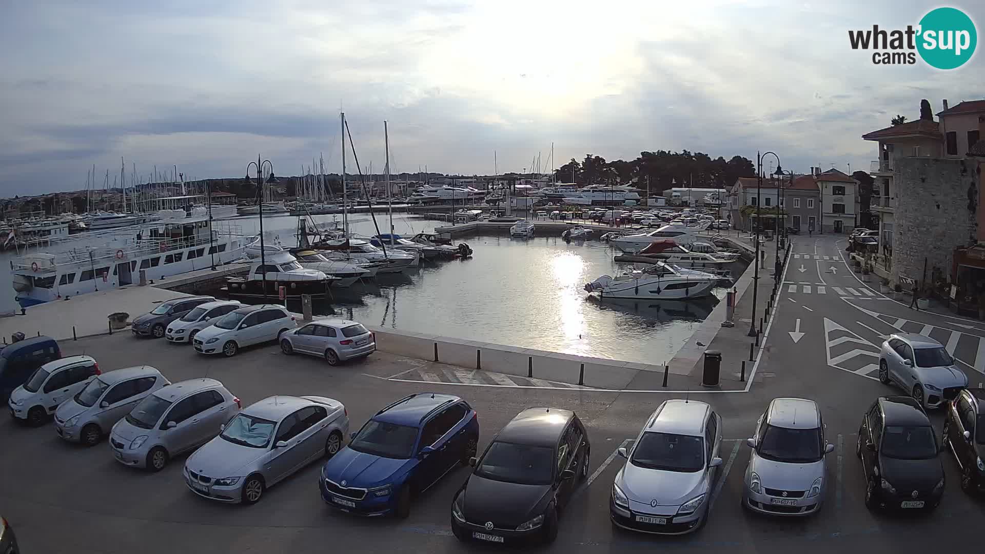 Novigrad | Porporela marina