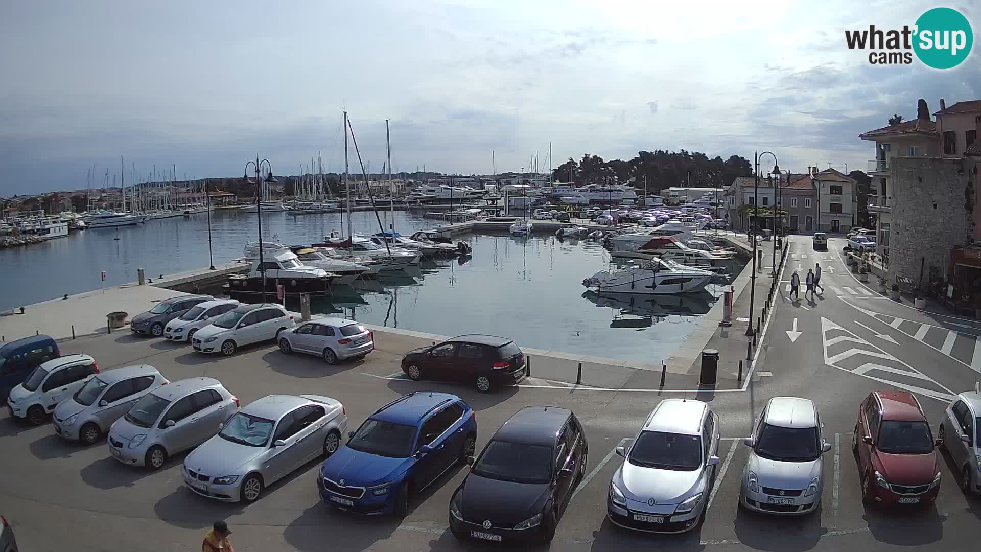 Novigrad | Porporela marina