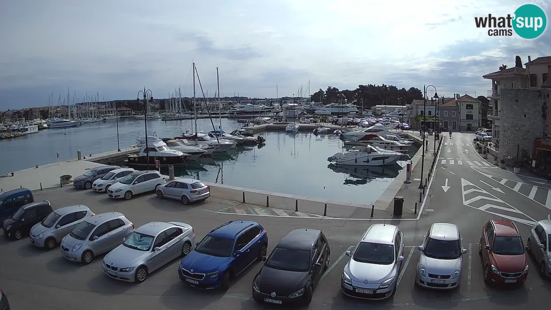 Novigrad | Porporela marina
