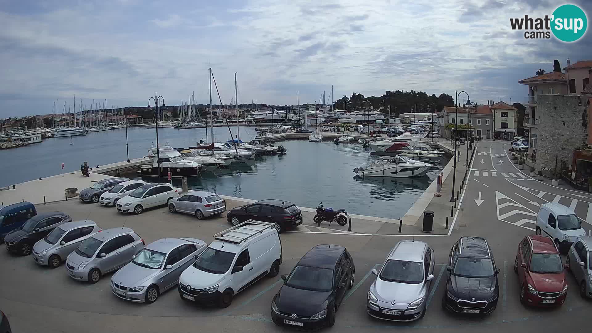 Novigrad | Porporela marina