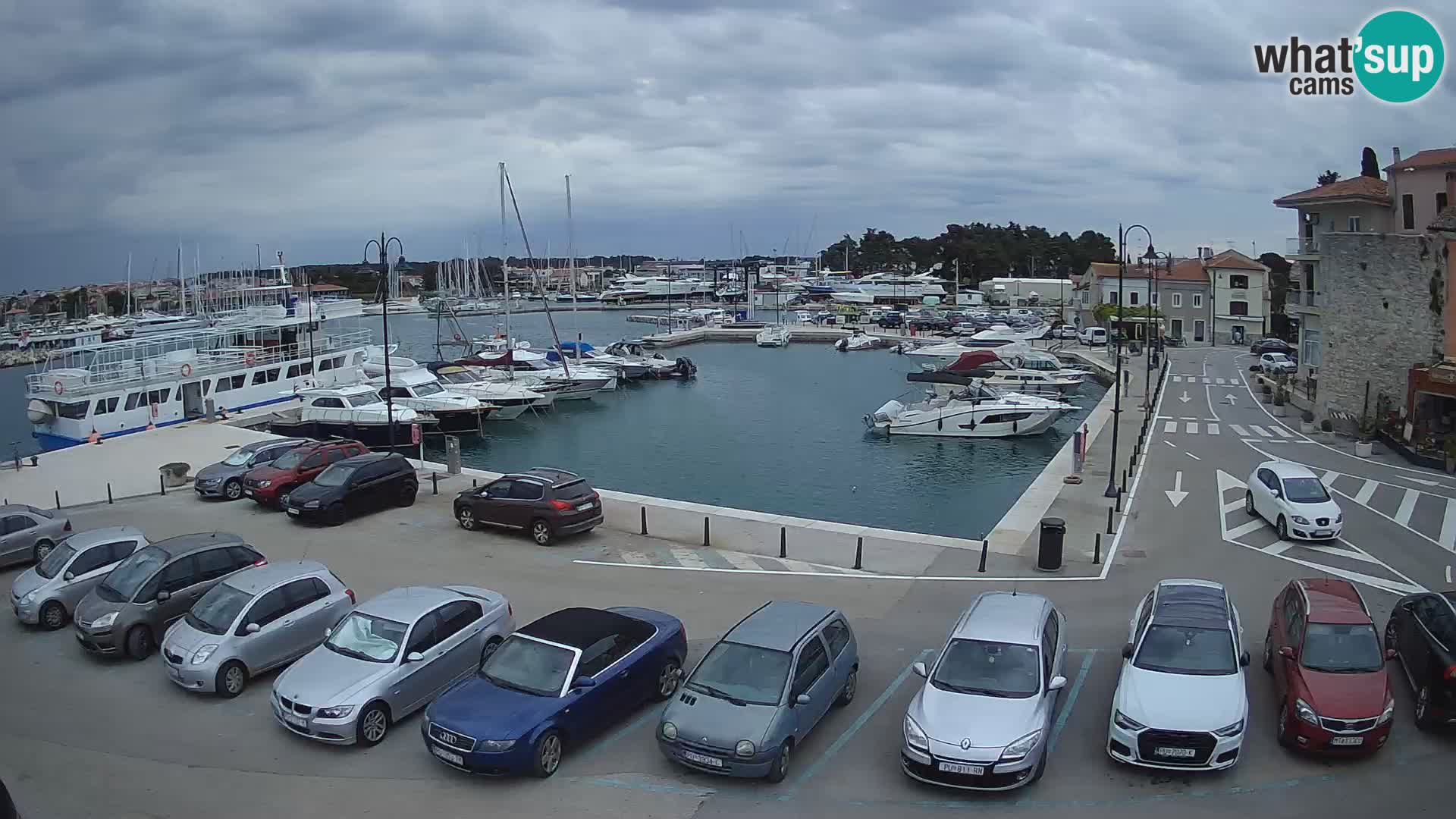 Novigrad | Porporela marina