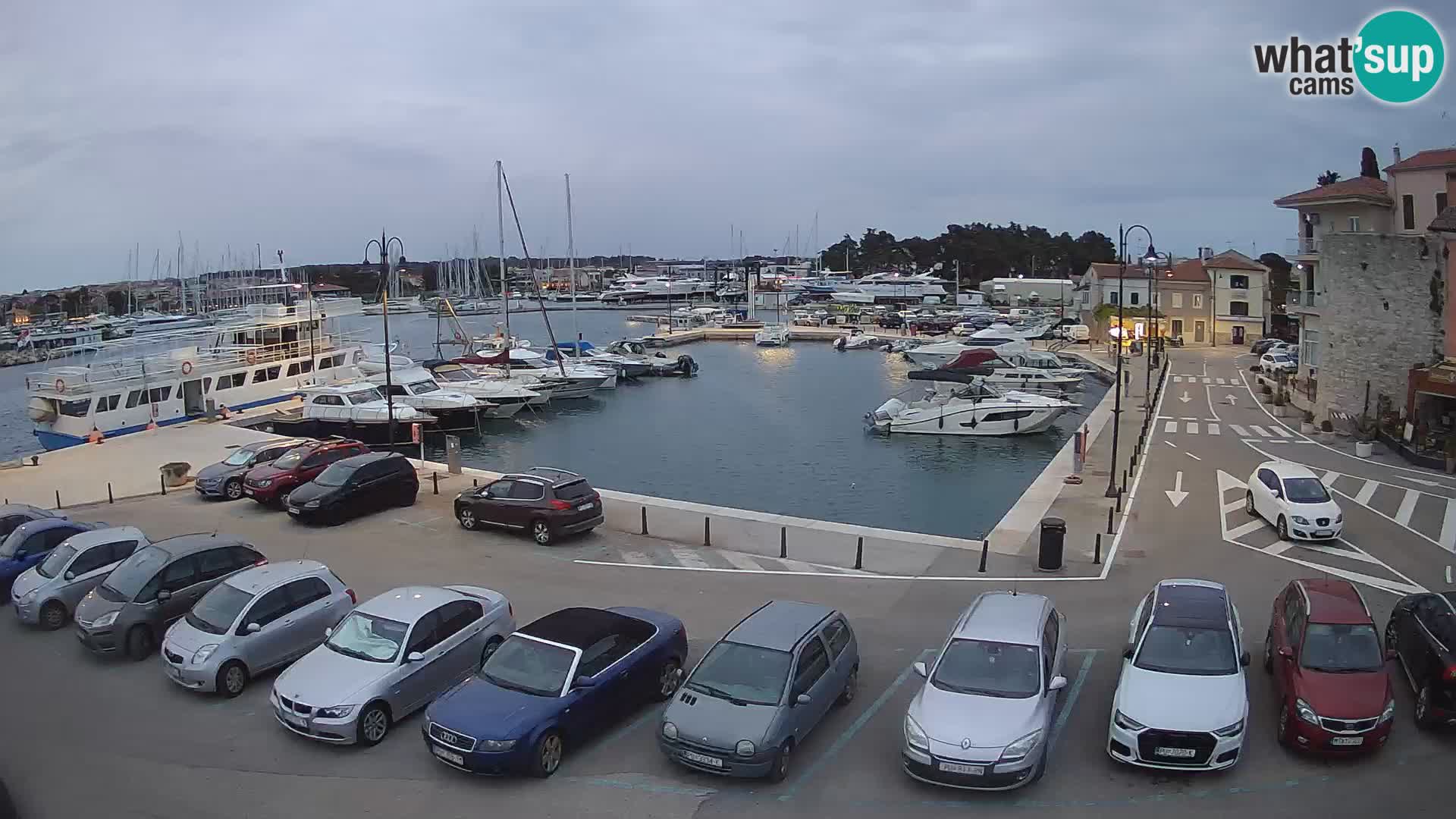 Novigrad | Porporela marina