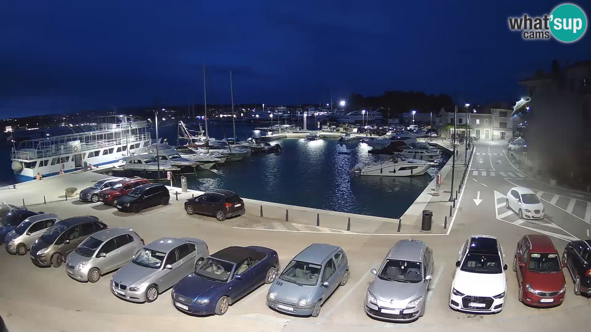 Novigrad | Porporela marina