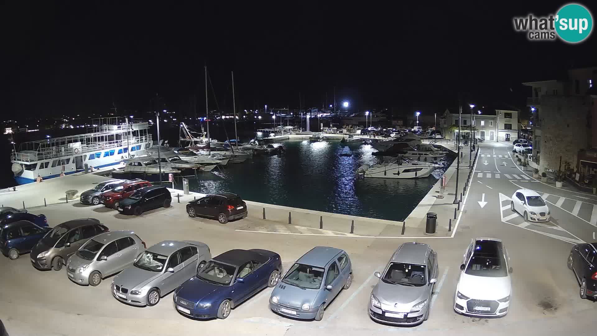 Novigrad | Porporela marina