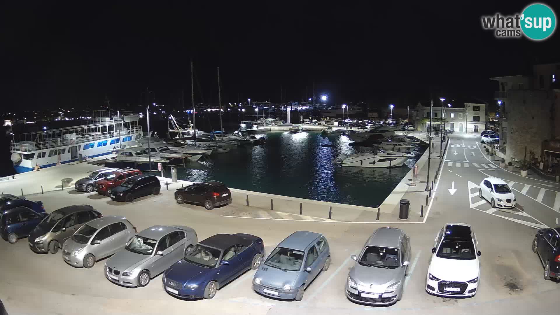 Novigrad | Porporela marina