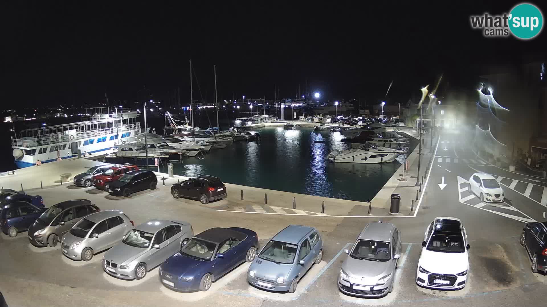 Novigrad | Porporela marina