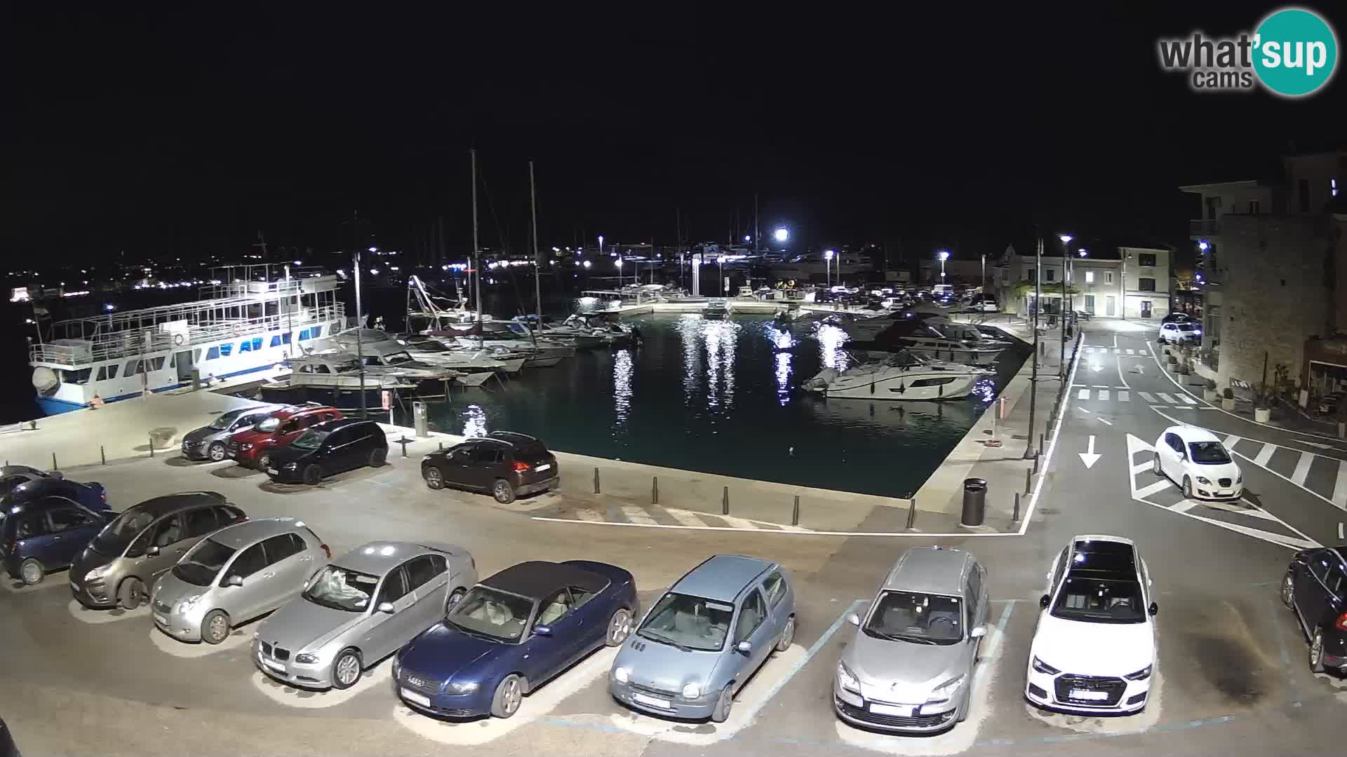 Novigrad | Porporela marina