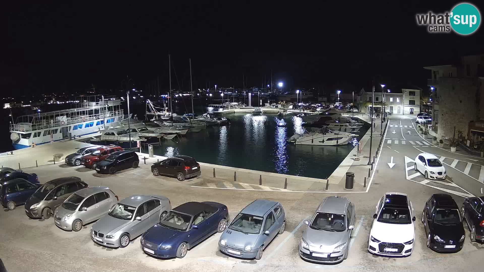 Novigrad | Porporela marina