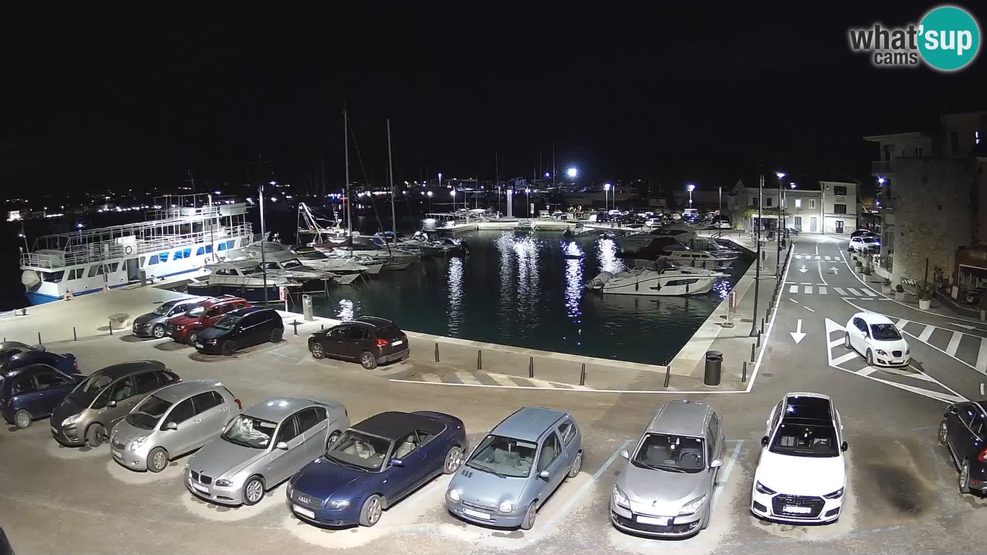 Novigrad | Porporela marina