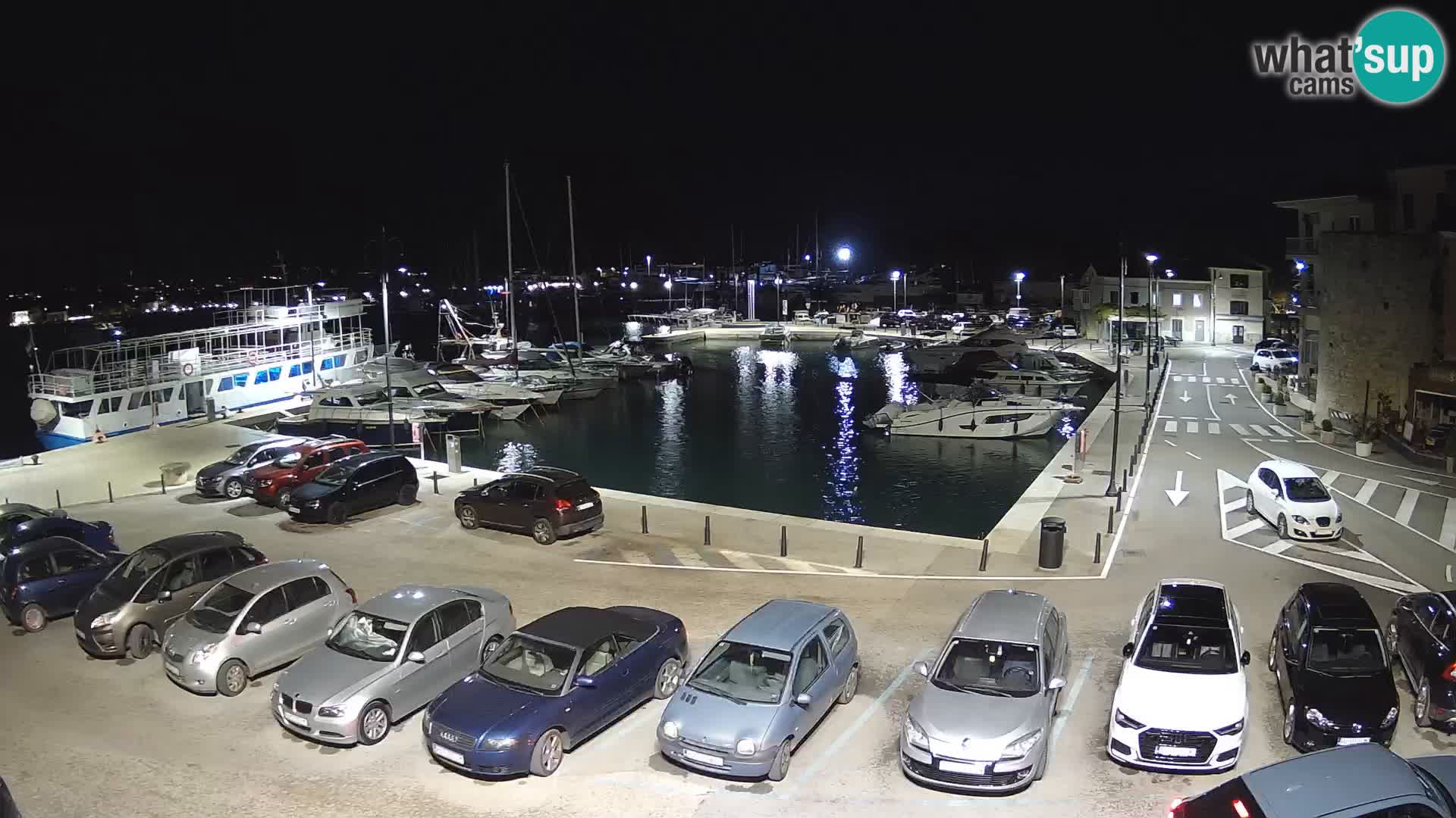 Novigrad | Porporela marina