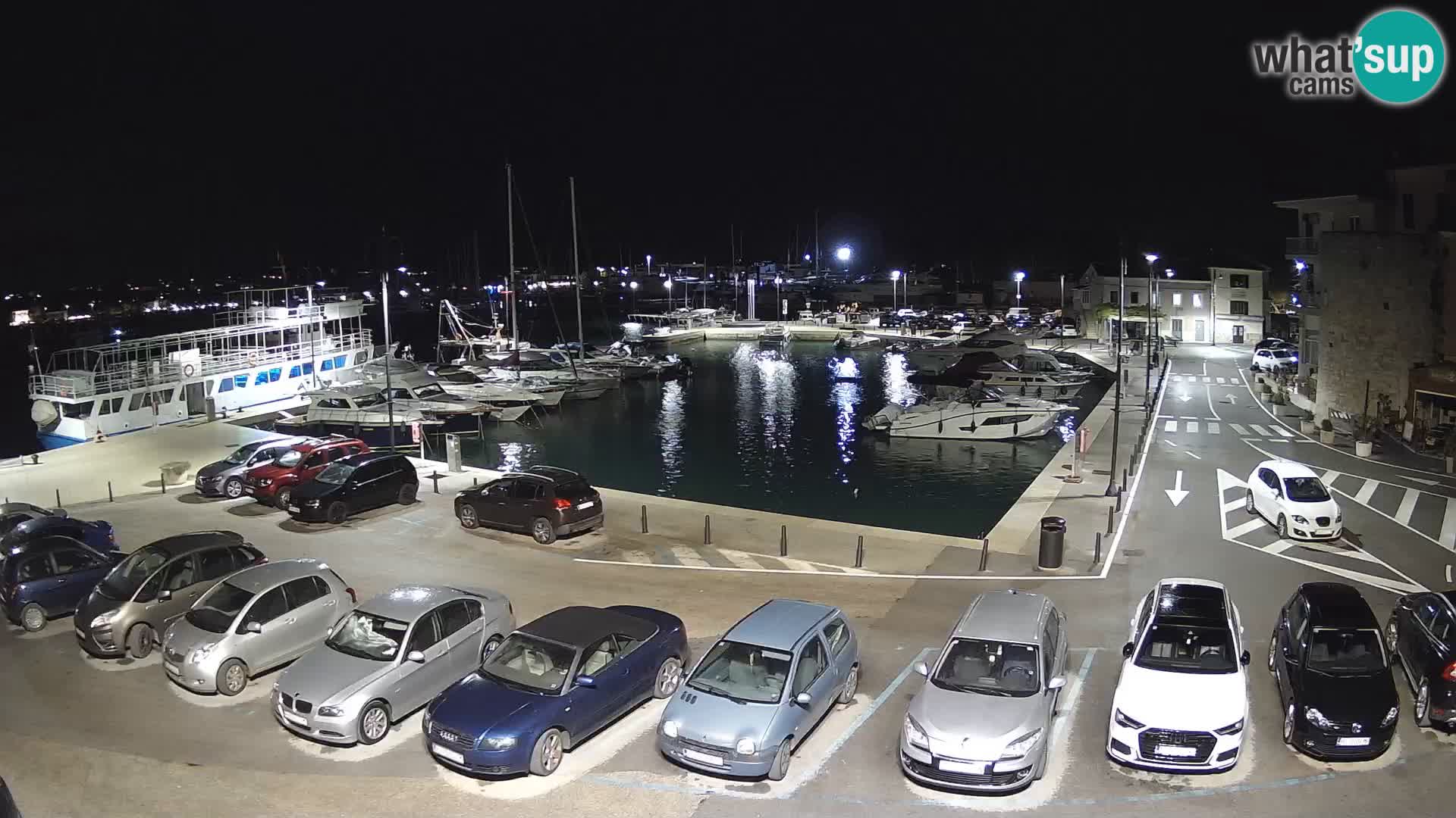 Novigrad | Porporela marina
