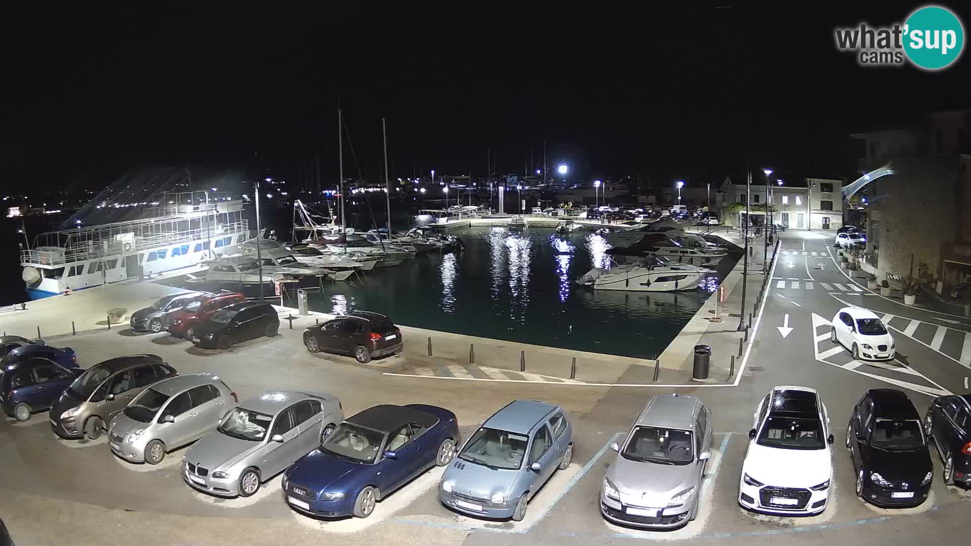 Novigrad | Porporela marina
