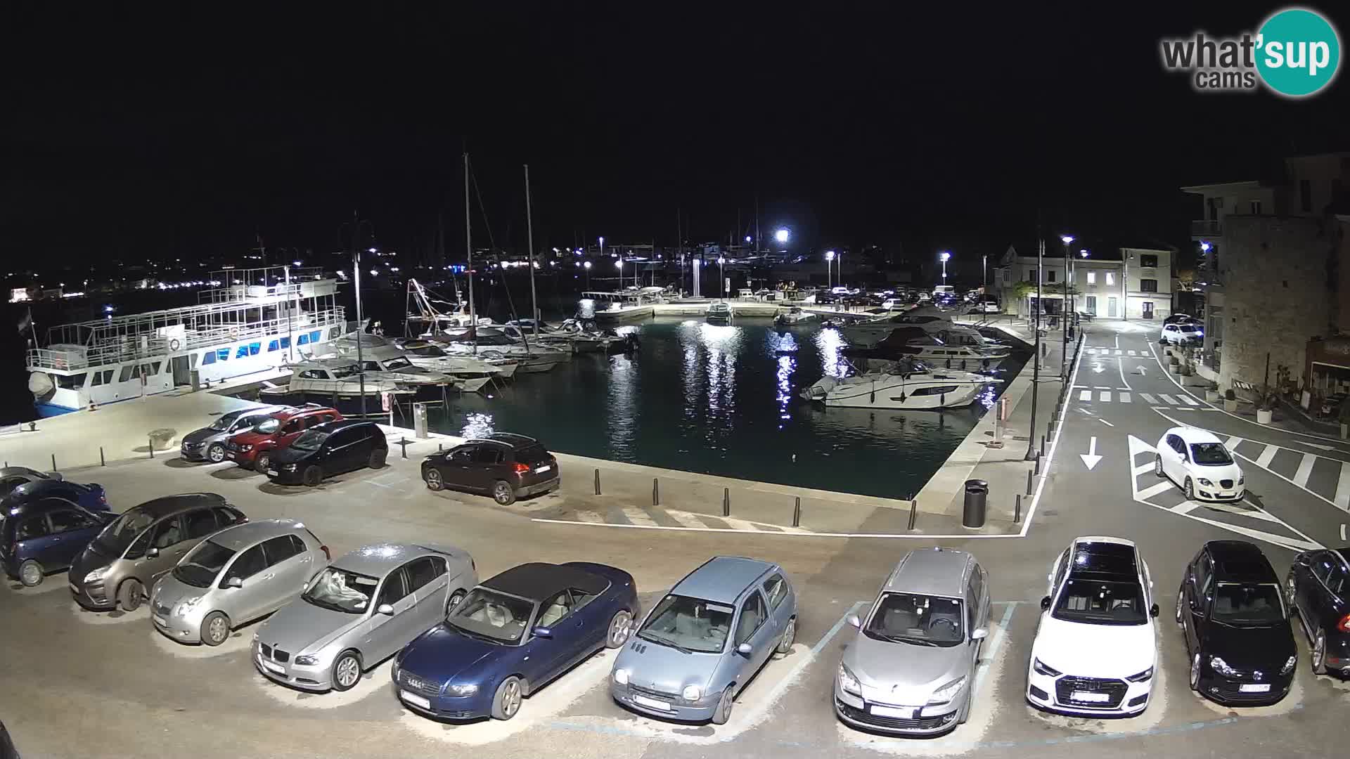 Novigrad | Porporela marina