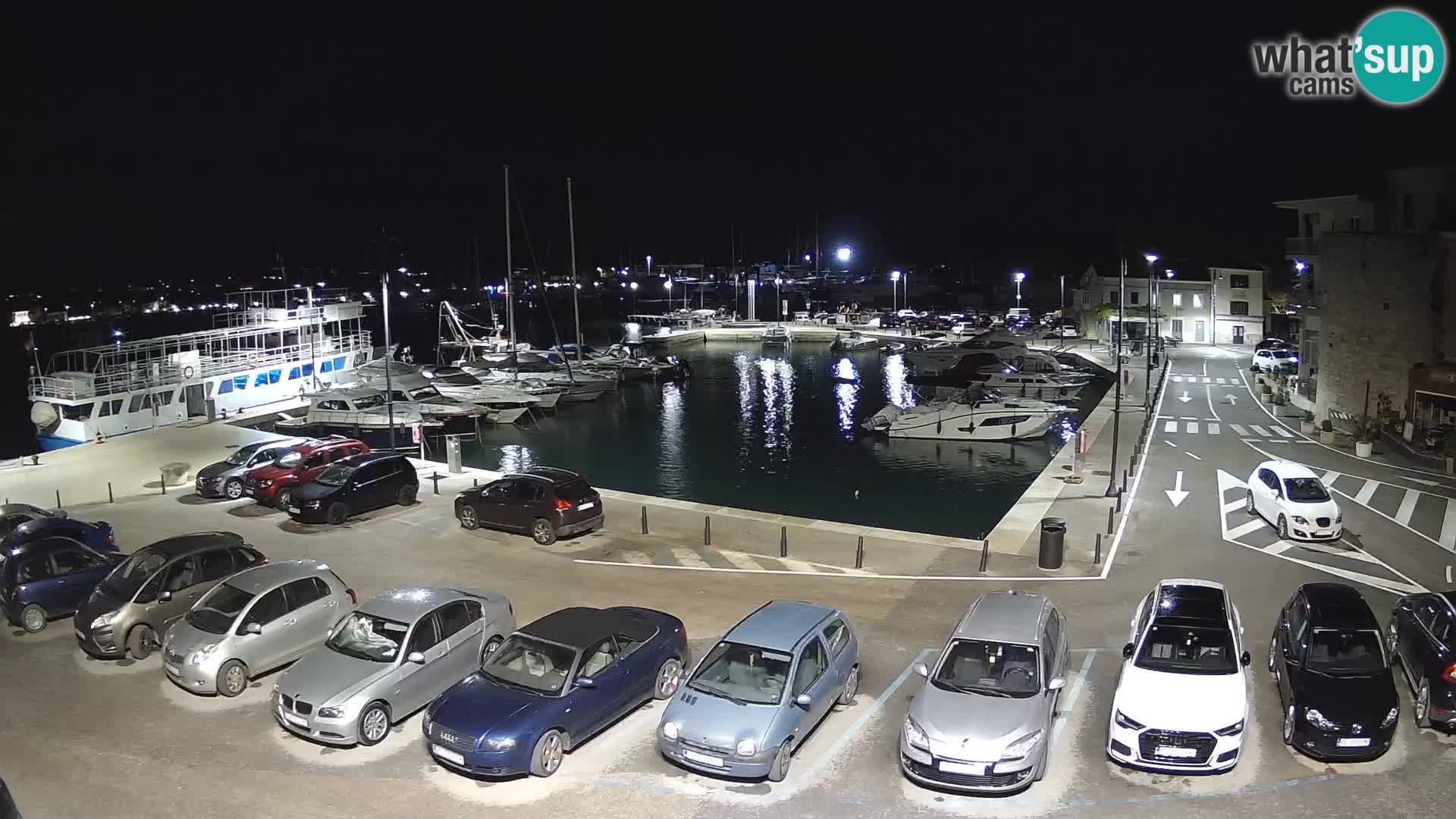 Novigrad | Porporela marina