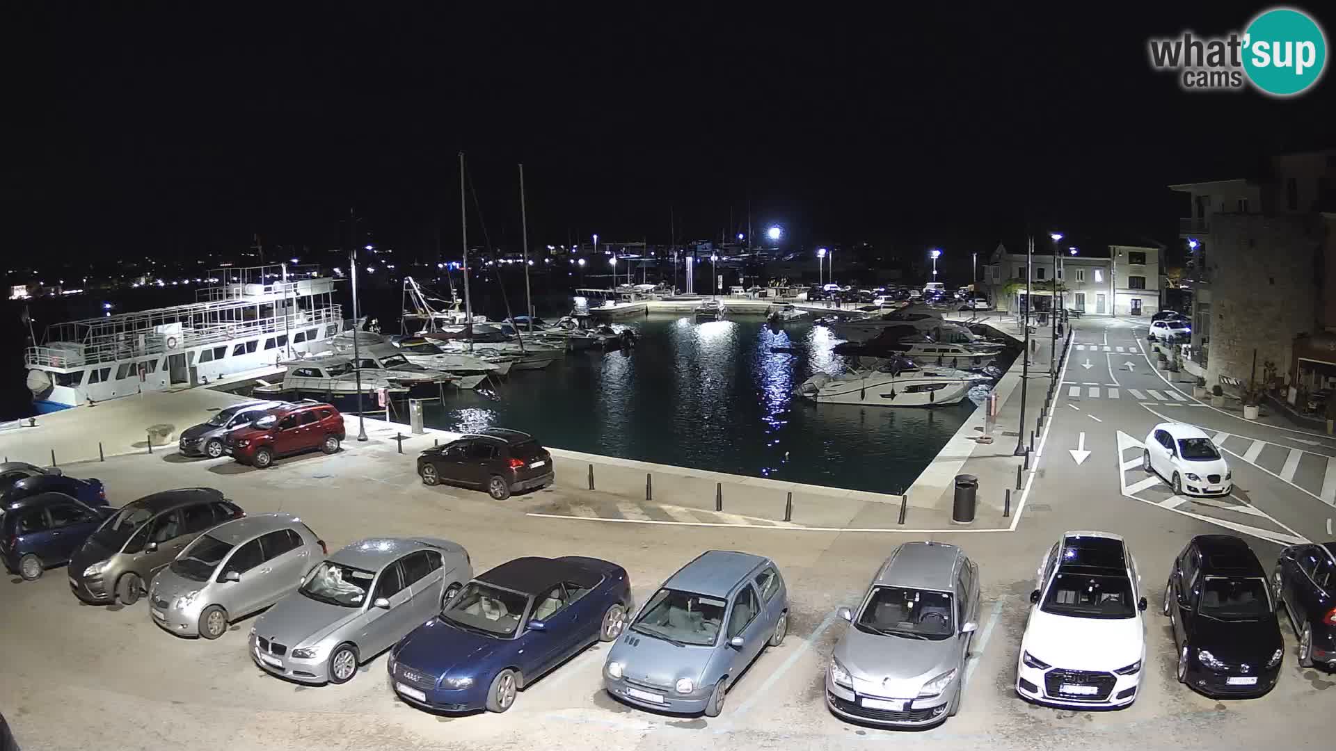 Novigrad | Porporela marina