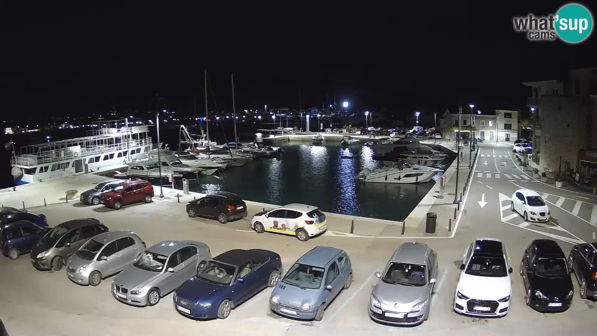 Novigrad | Porporela marina