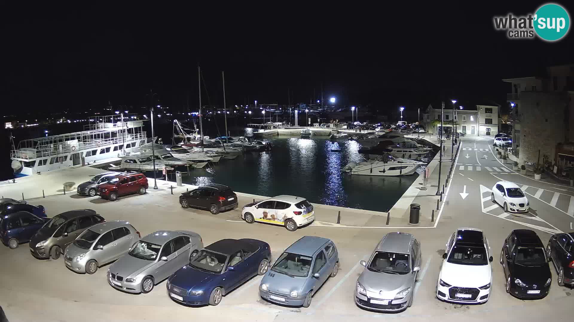 Novigrad | Porporela marina