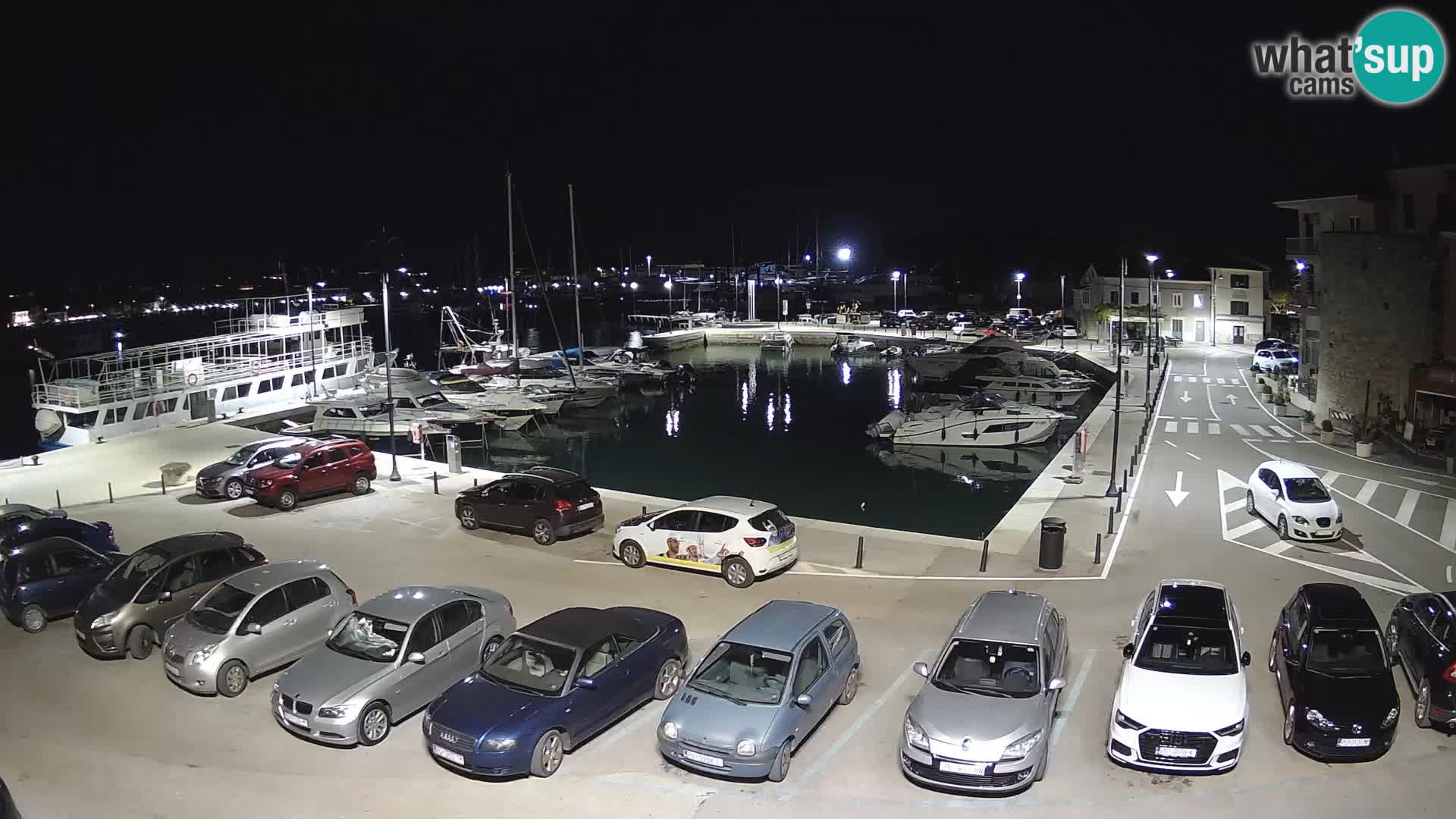 Novigrad | Porporela marina