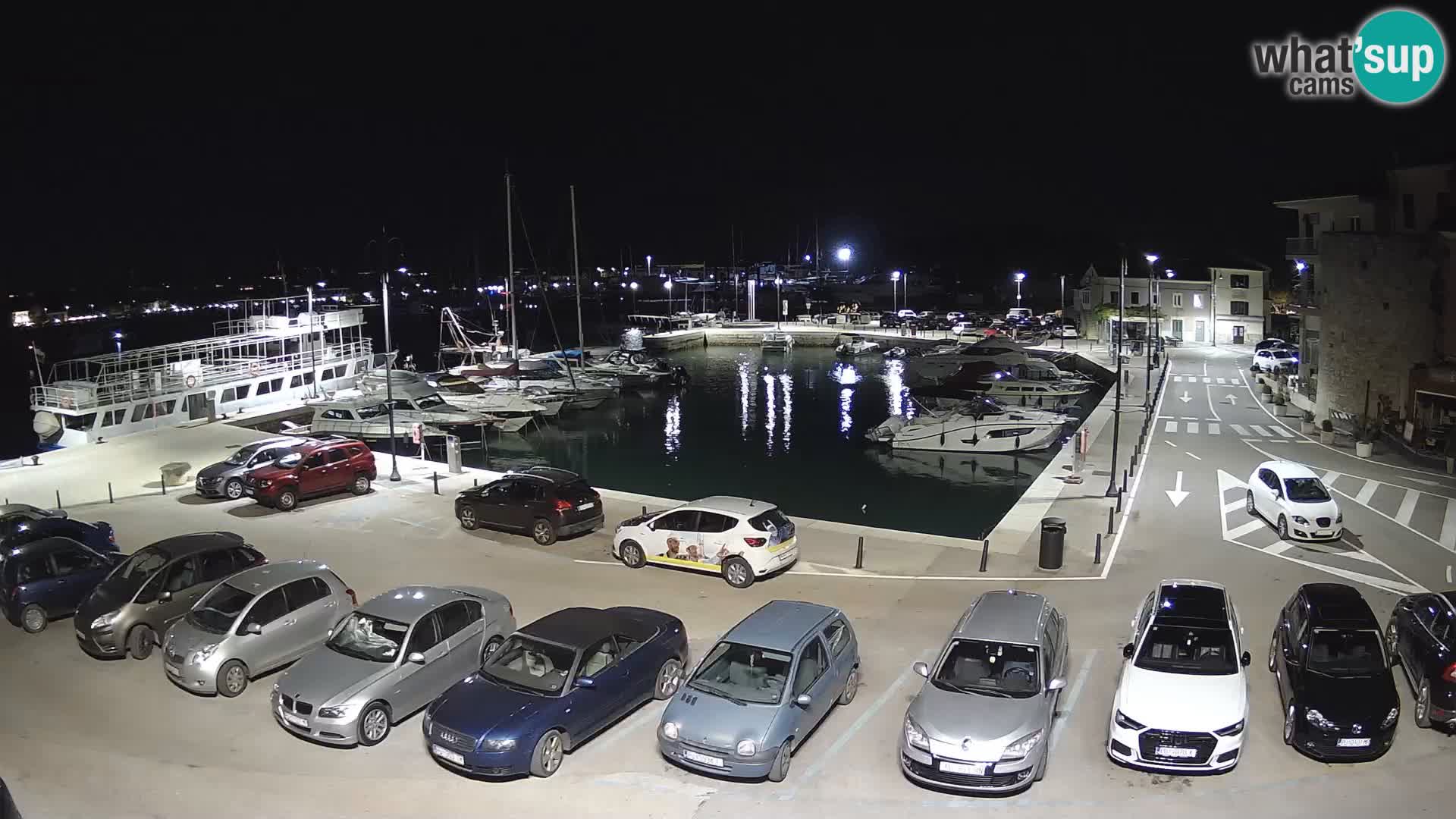 Novigrad | Porporela marina