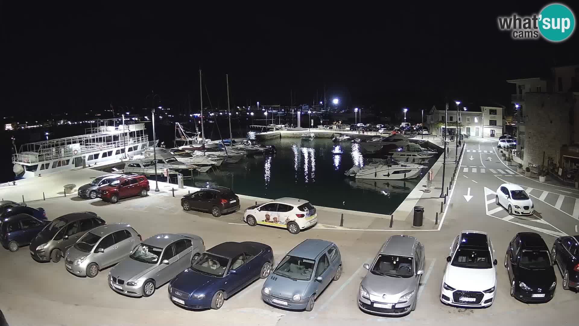 Novigrad | Porporela marina
