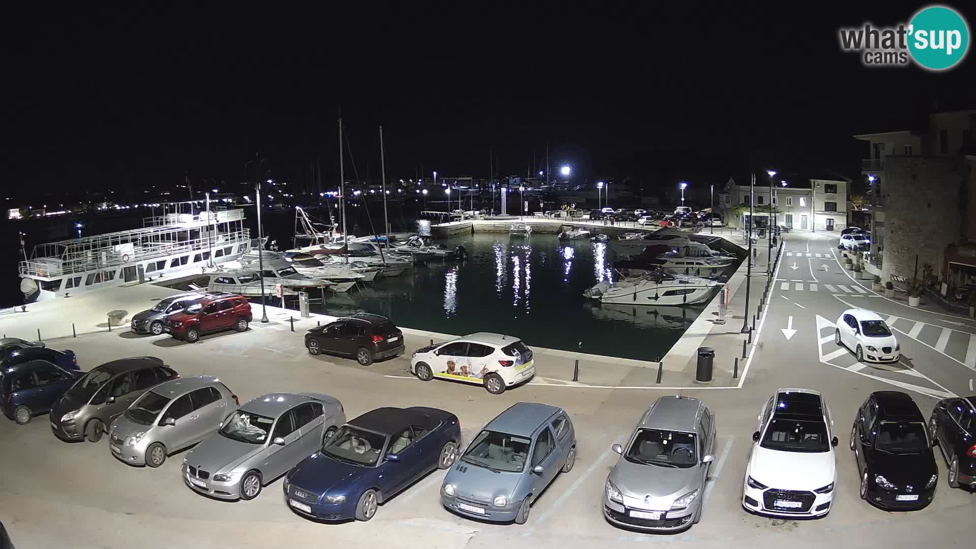 Novigrad | Porporela marina