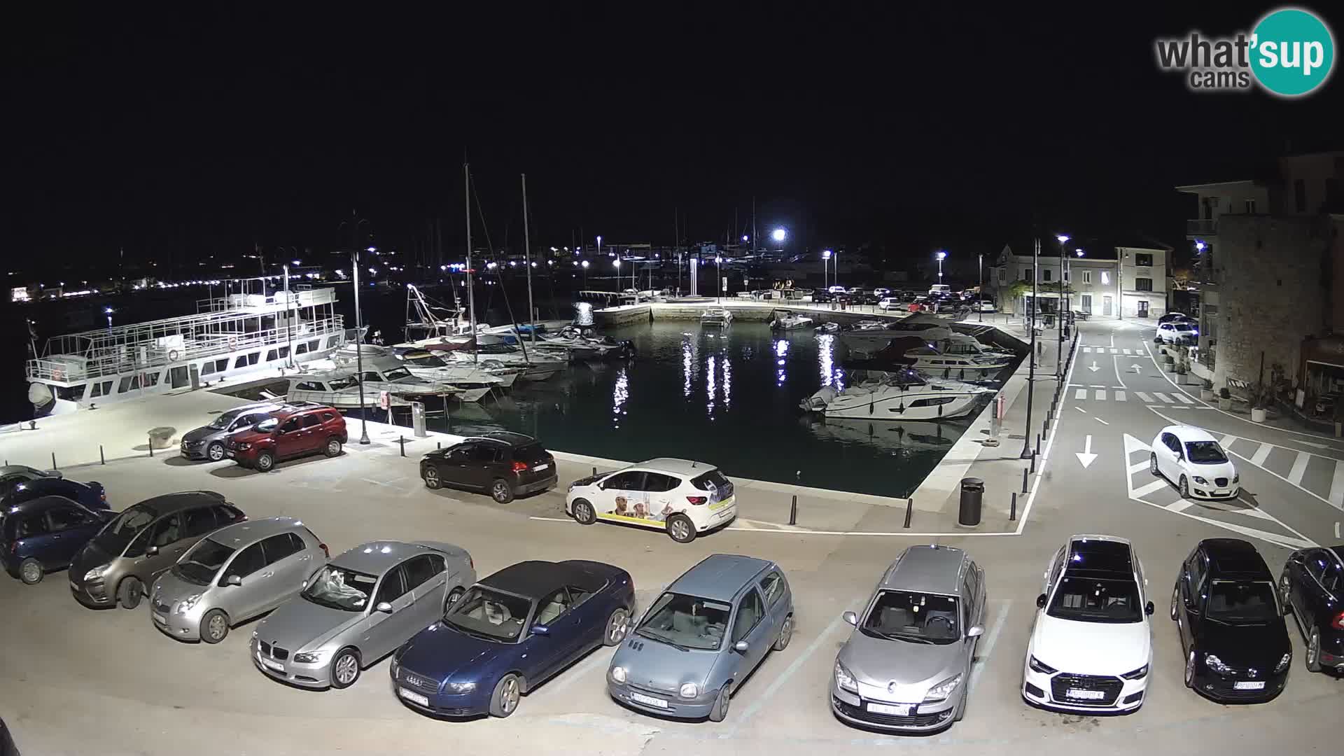 Novigrad | Porporela marina