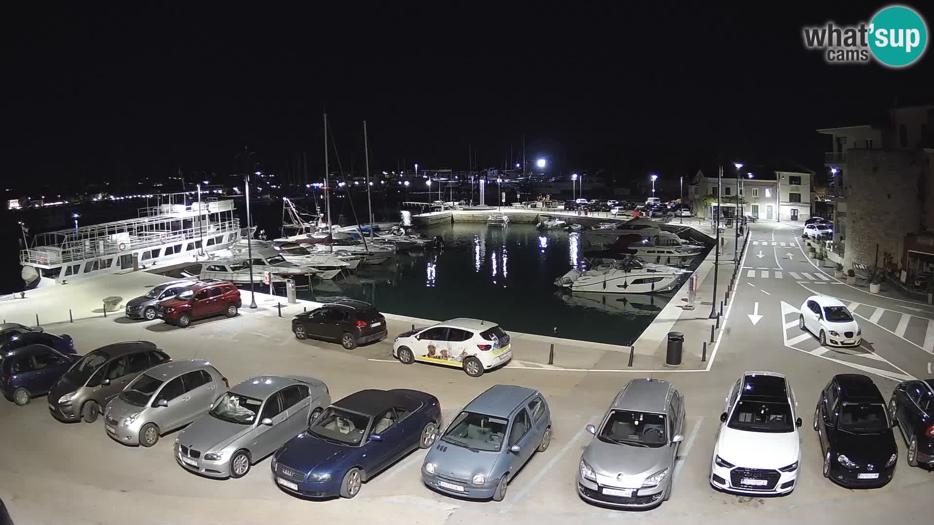 Novigrad | Porporela marina