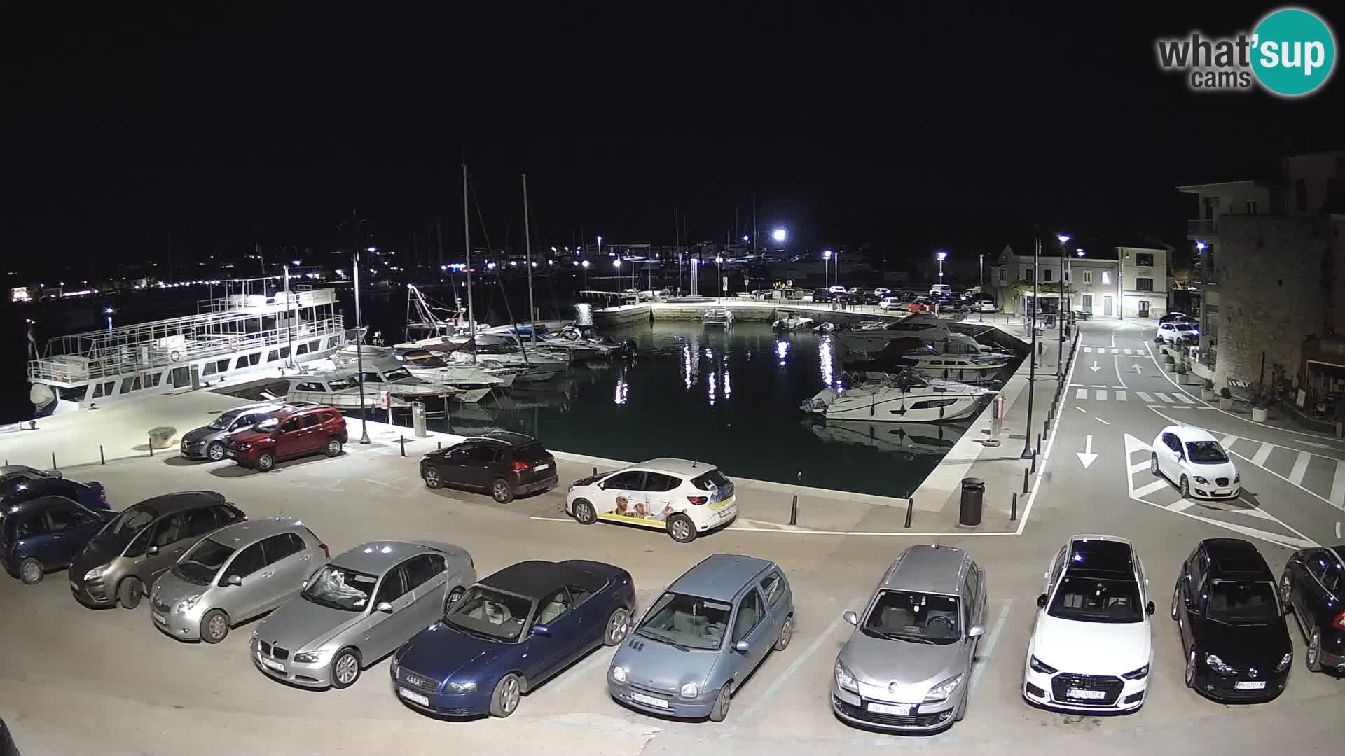 Novigrad | Porporela marina