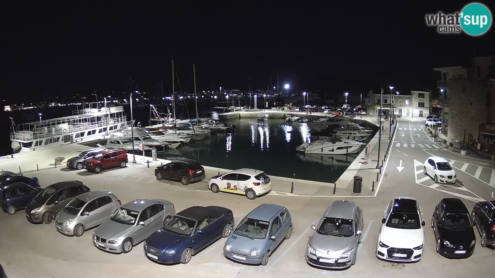 Novigrad | Porporela marina