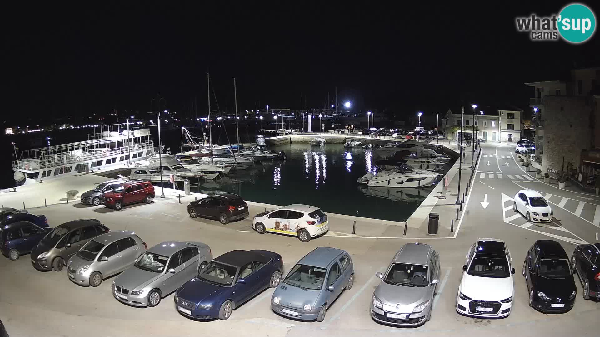 Novigrad | Porporela marina