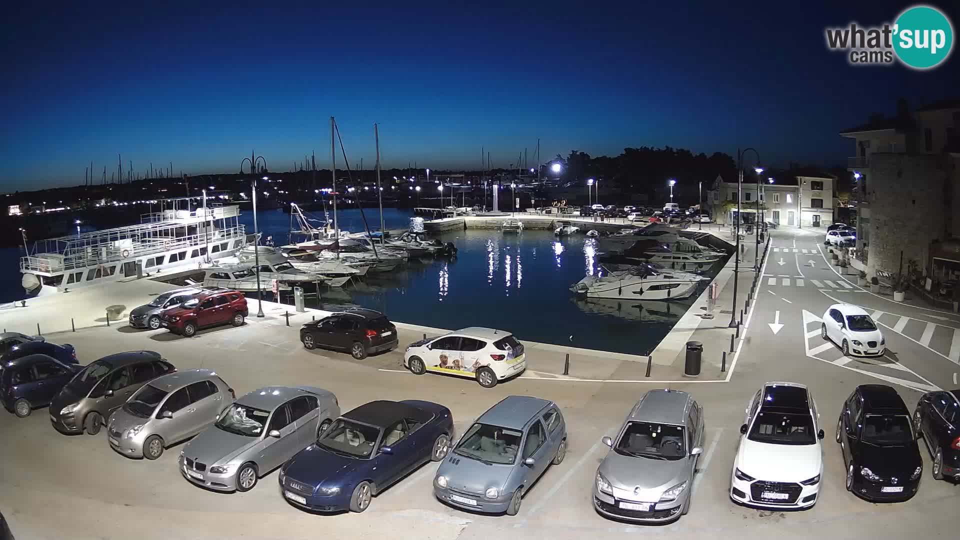 Novigrad | Porporela marina