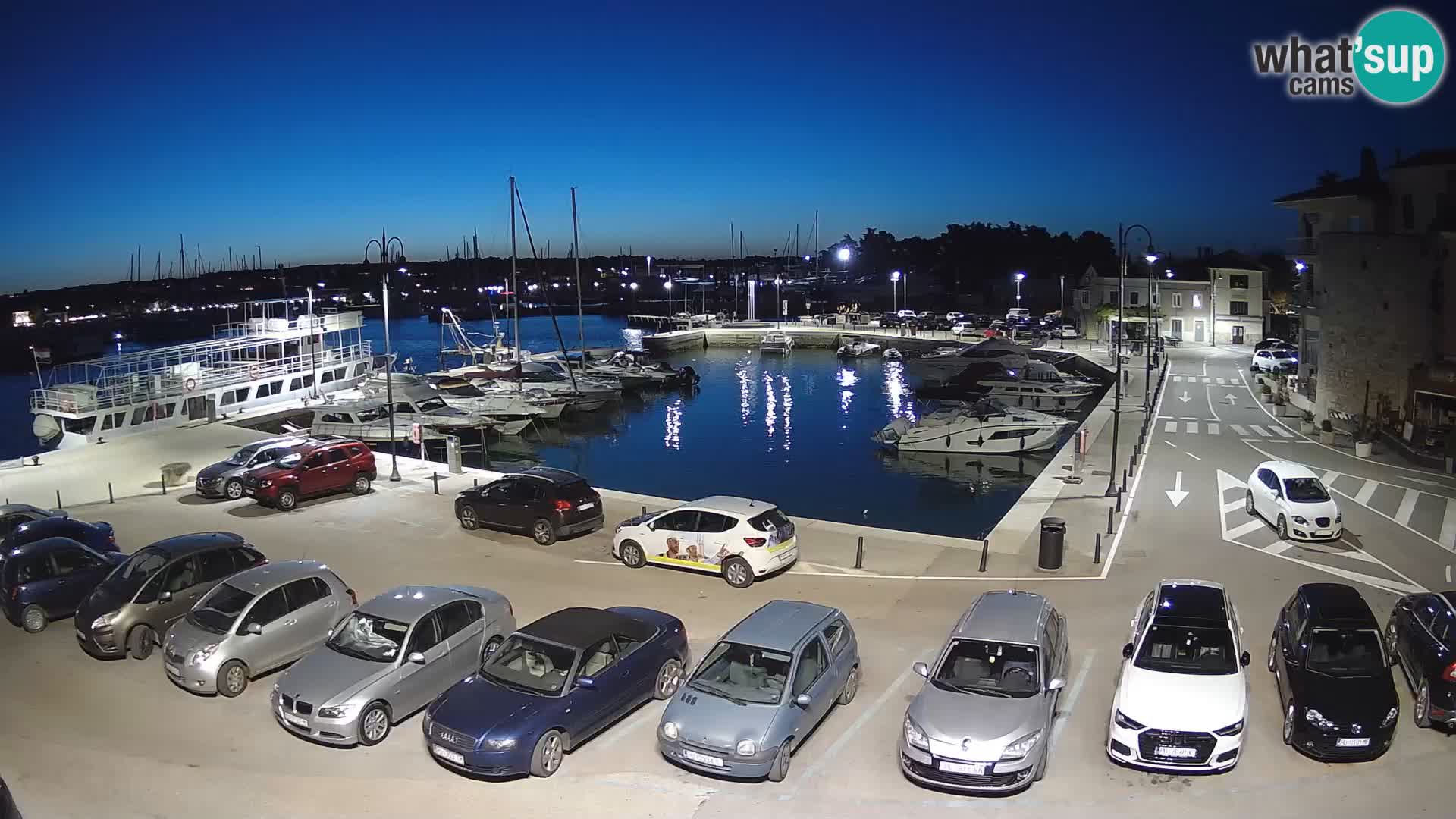 Novigrad | Porporela marina