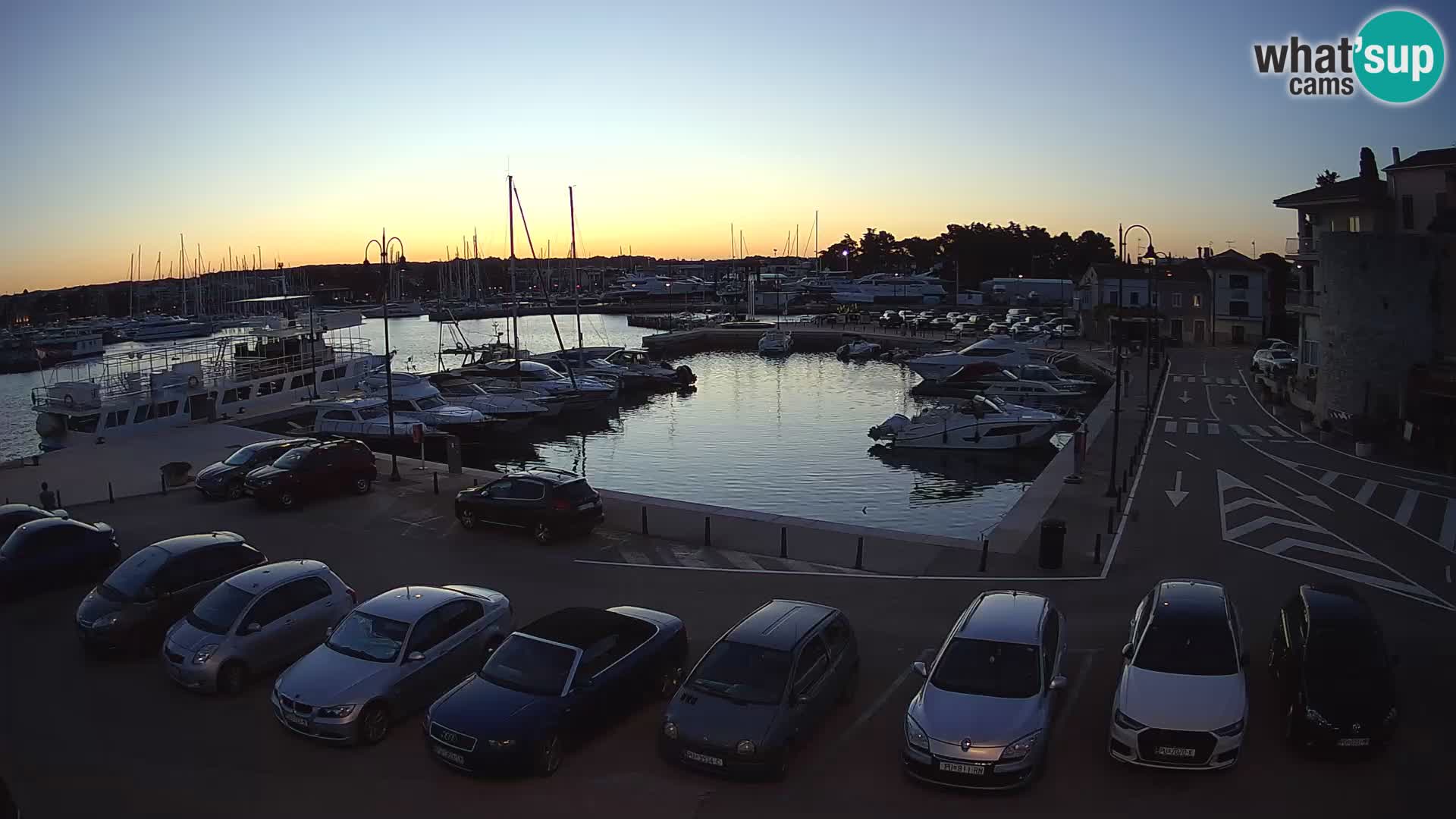 Novigrad | Porporela marina