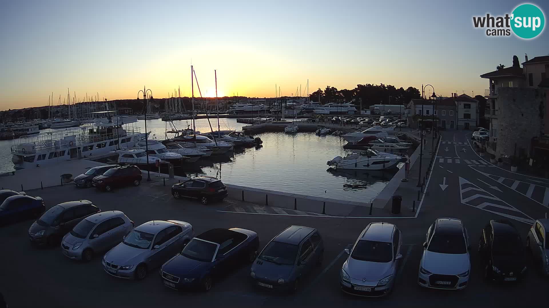 Novigrad | Porporela marina