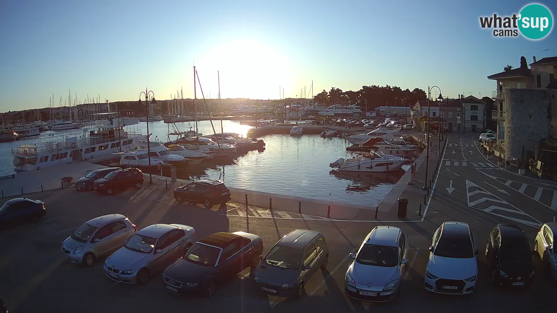 Novigrad | Porporela marina