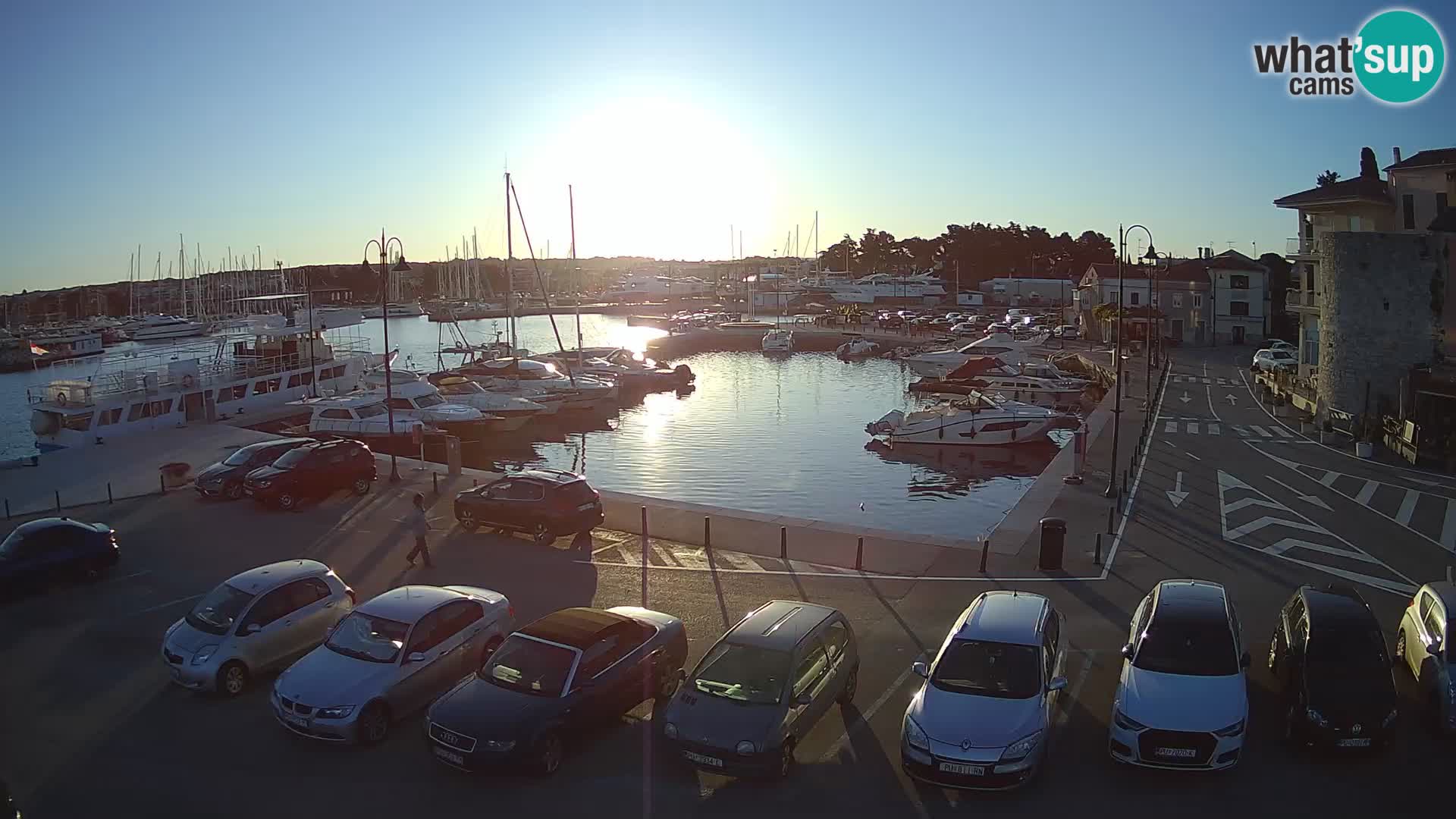 Novigrad | Porporela marina
