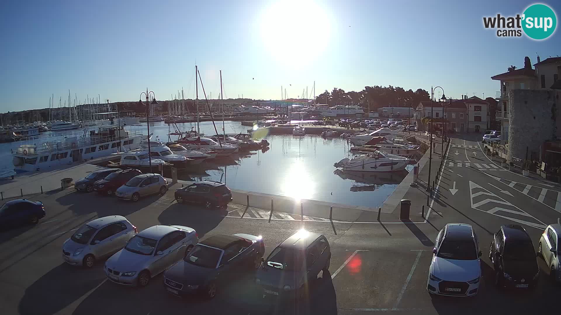 Novigrad | Porporela marina