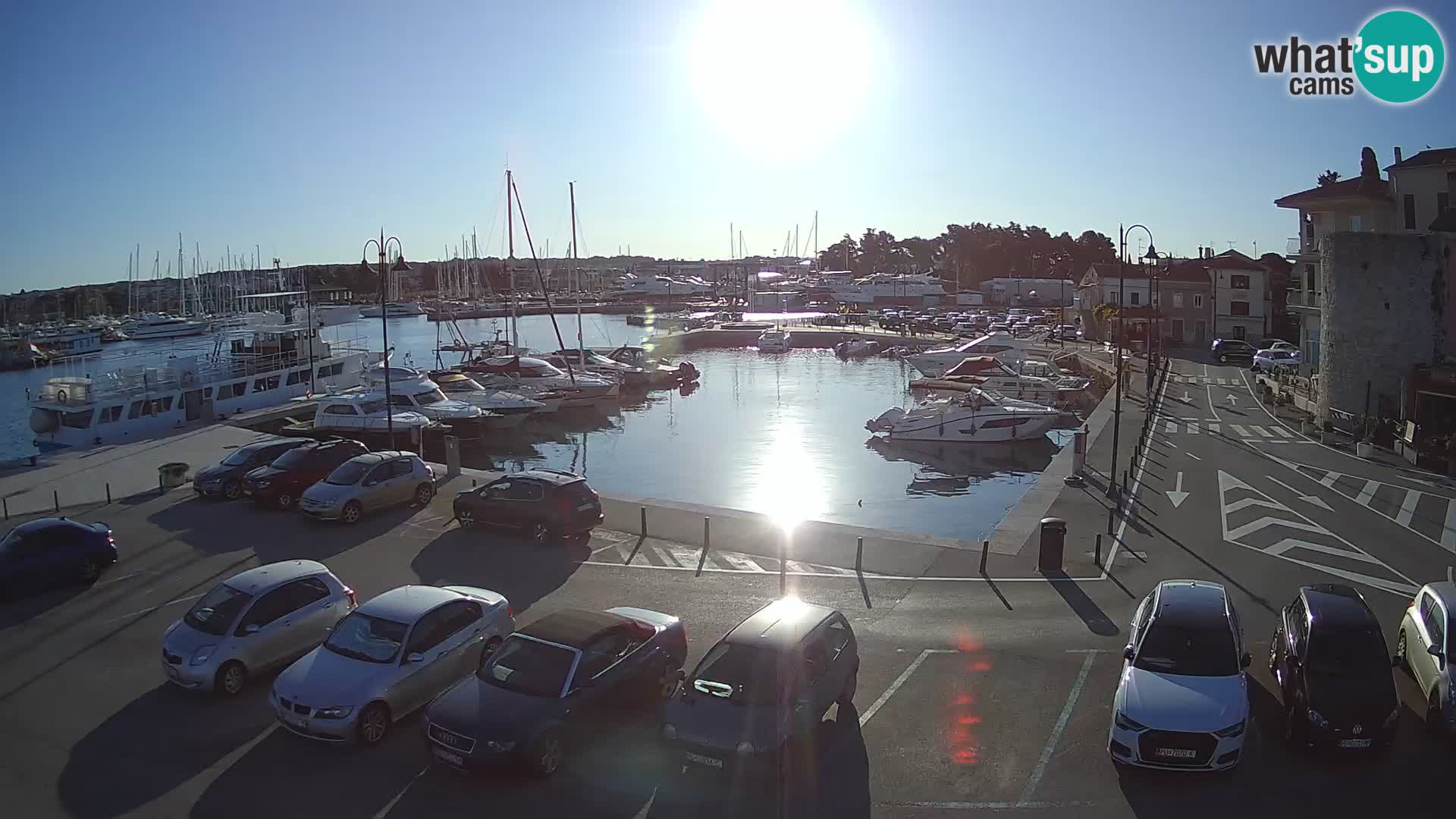 Novigrad | Porporela marina
