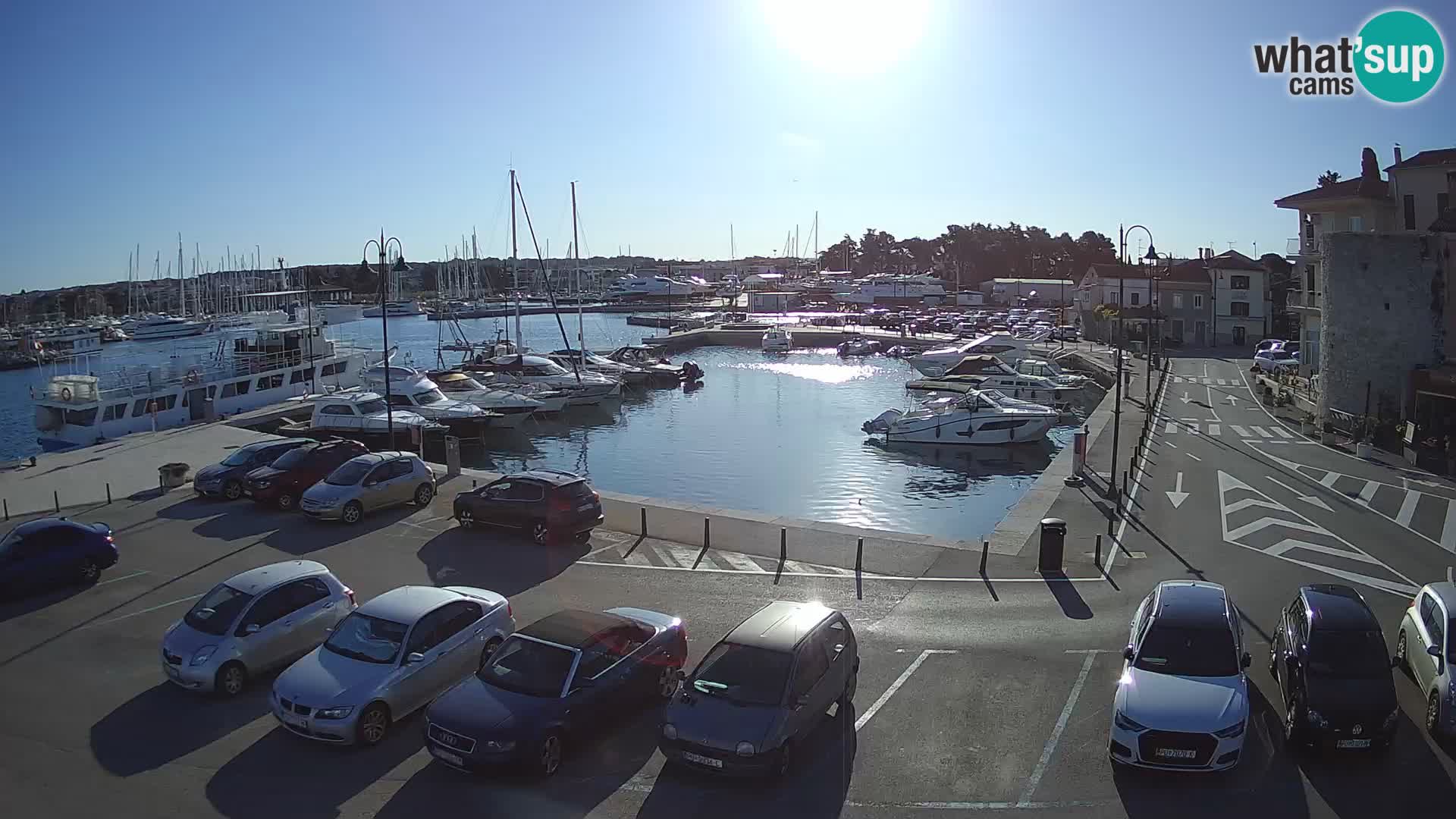 Novigrad | Porporela marina