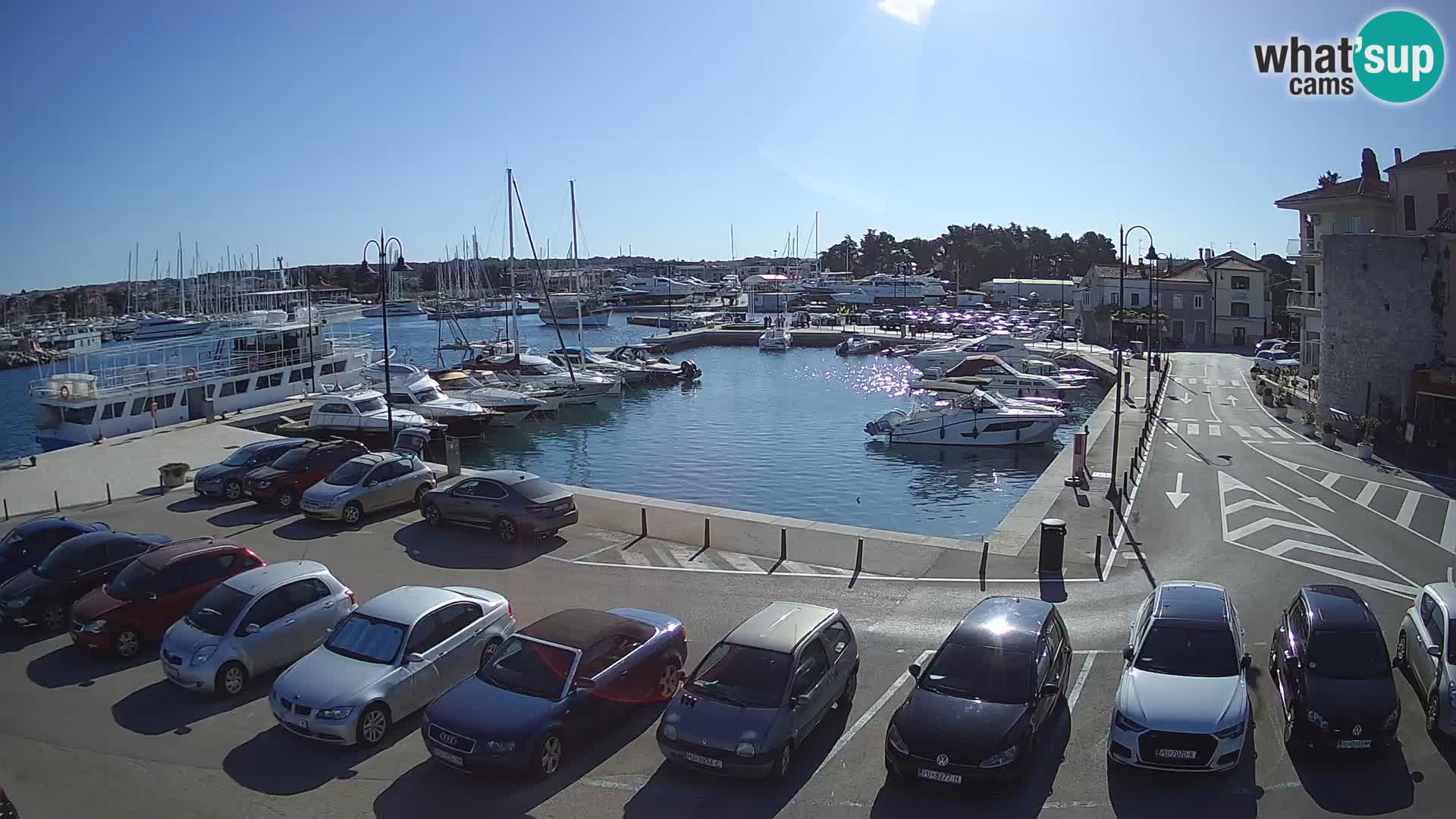 Novigrad | Porporela marina